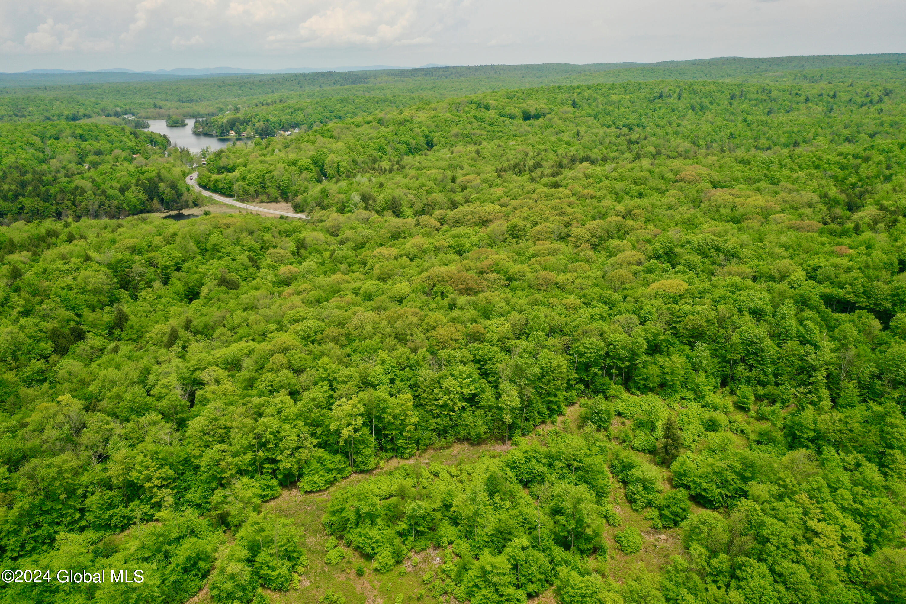 430 Lake Desolation Road Greenfield, NY 12850 - Photo 13 of 39 13