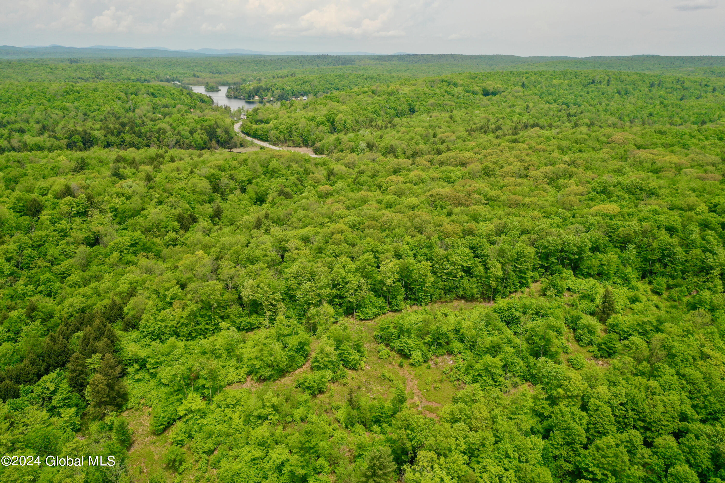430 Lake Desolation Road Greenfield, NY 12850 - Photo 14 of 39 14