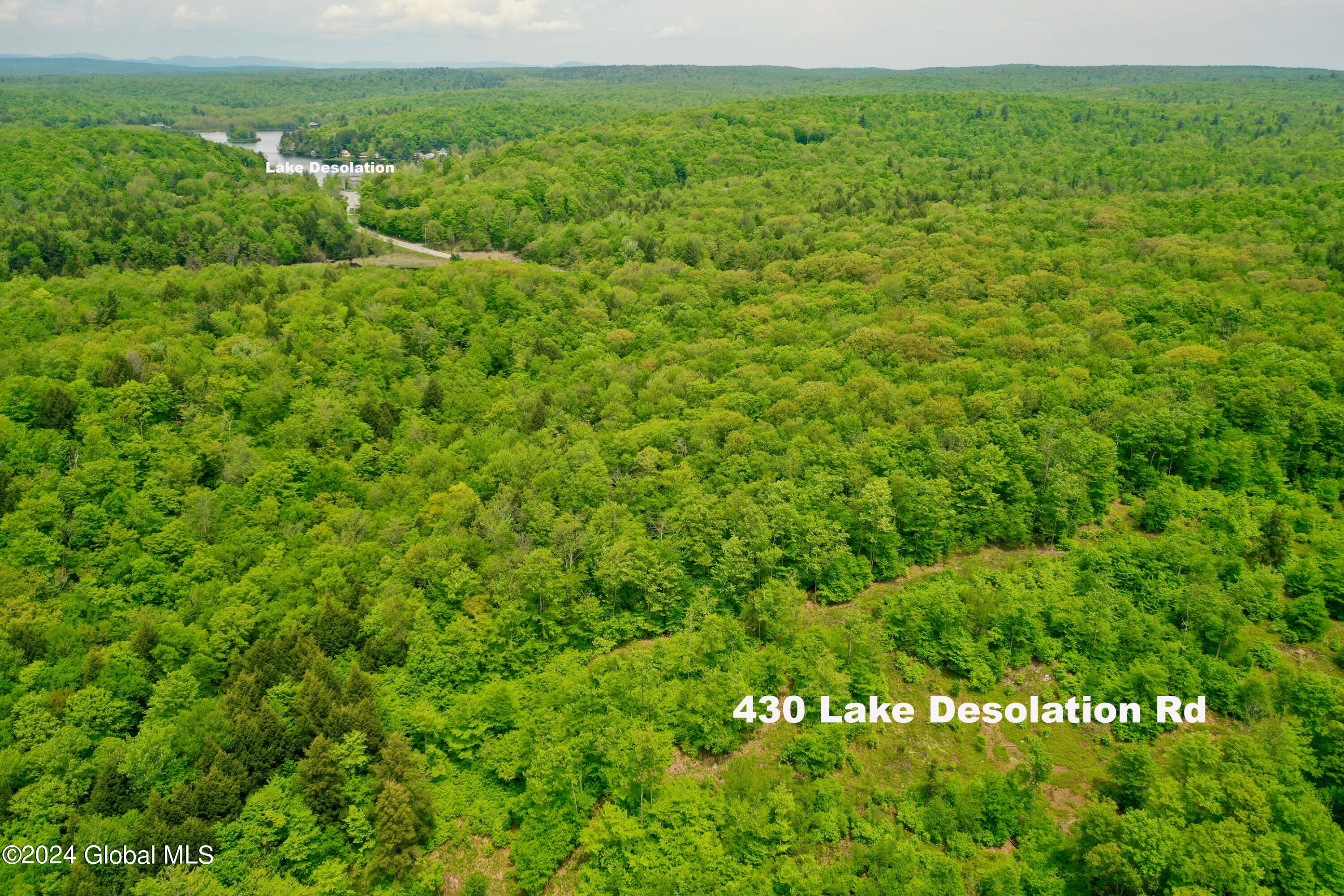 430 Lake Desolation Road Greenfield, NY 12850 - Photo 15 of 39 15