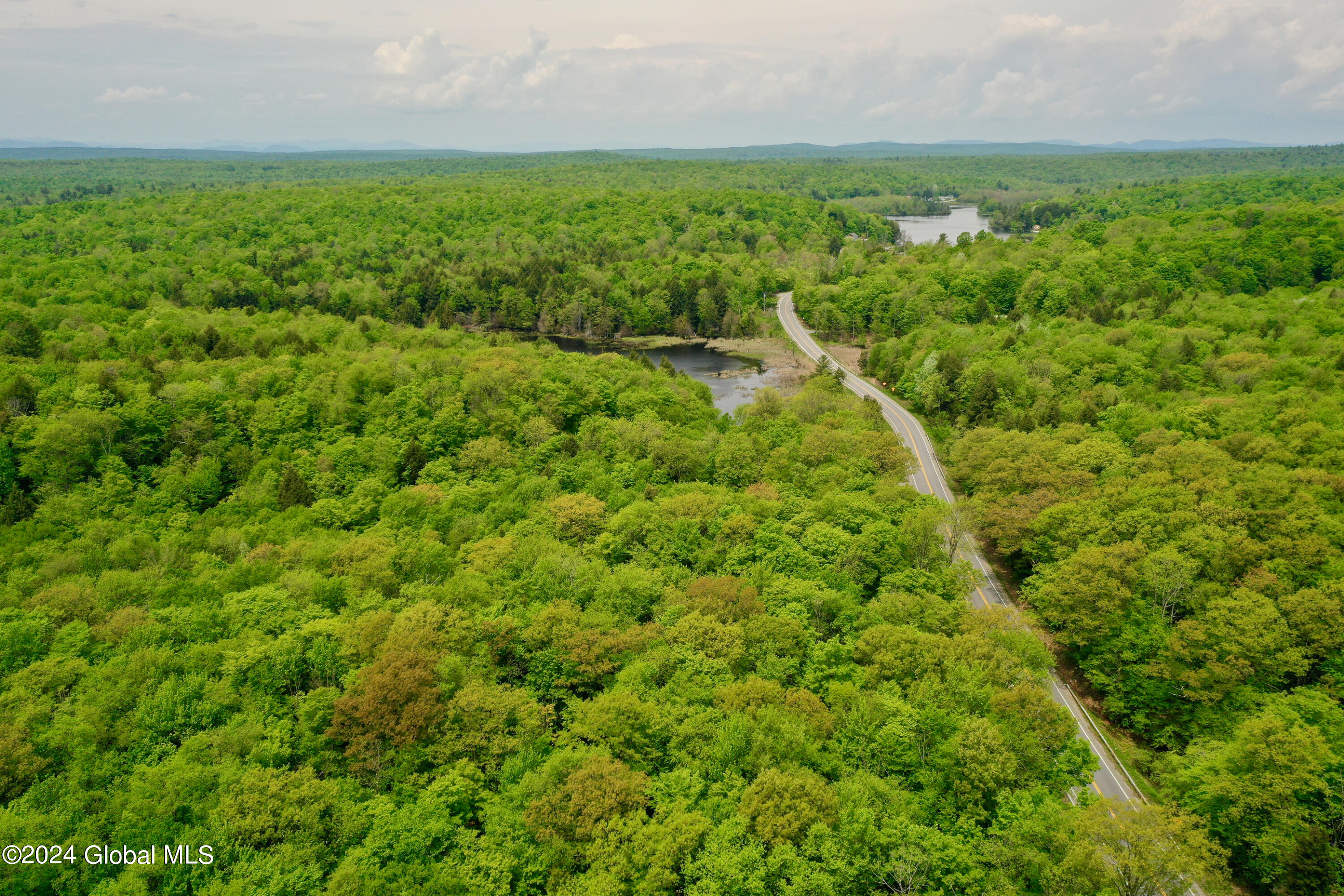 430 Lake Desolation Road Greenfield, NY 12850 - Photo 16 of 39 16