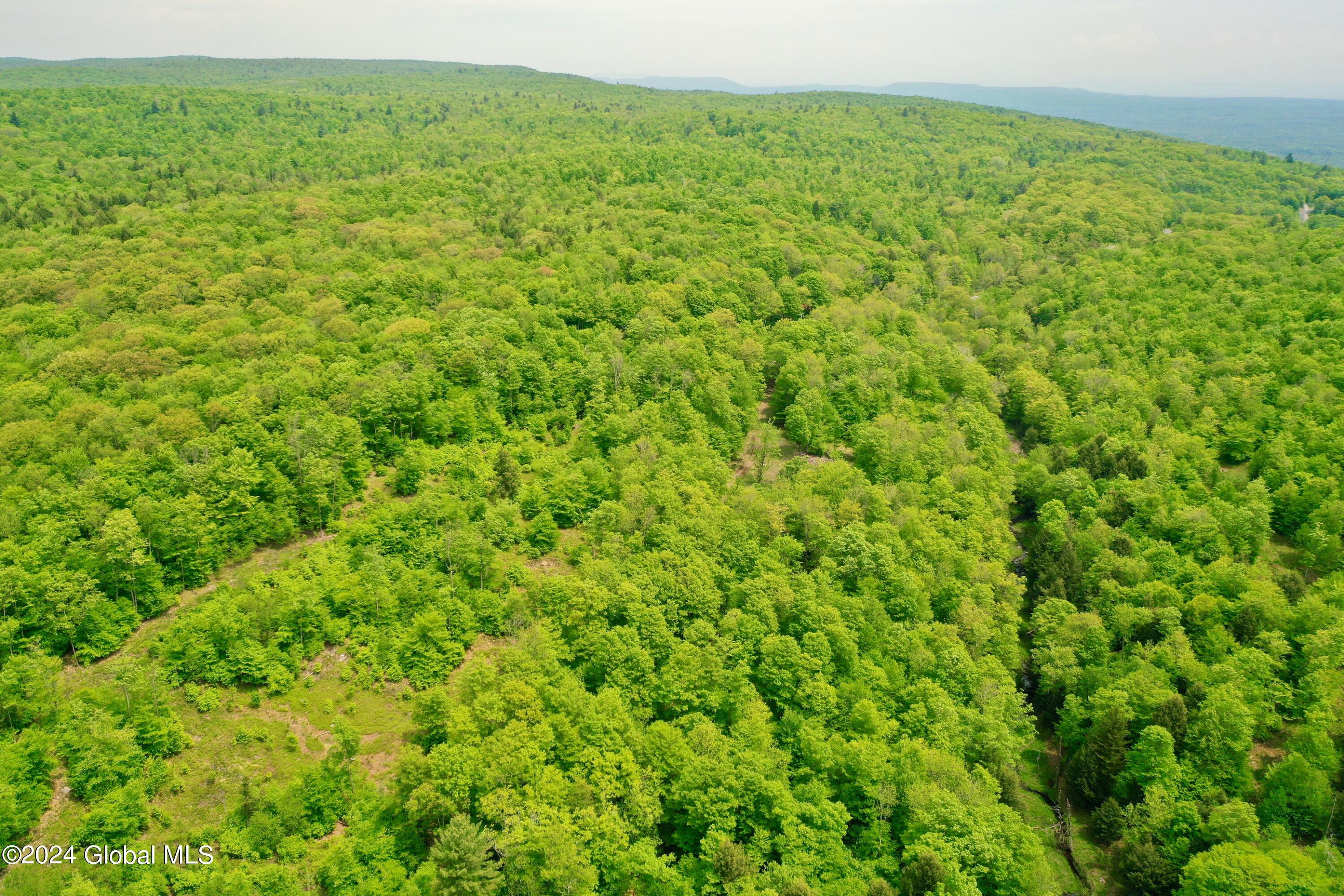 430 Lake Desolation Road Greenfield, NY 12850 - Photo 18 of 39 18