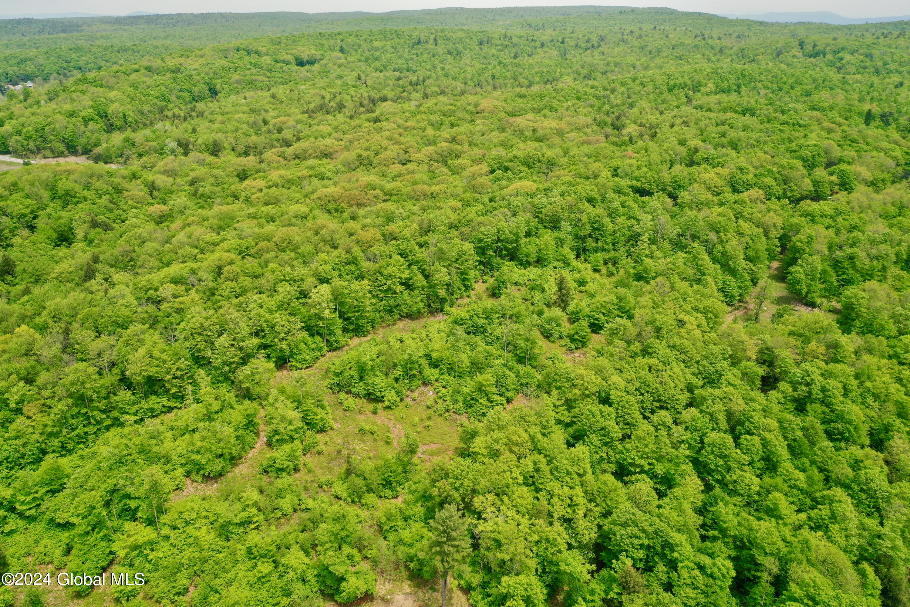 430 Lake Desolation Road Greenfield, NY 12850 - Photo 19 of 39 19