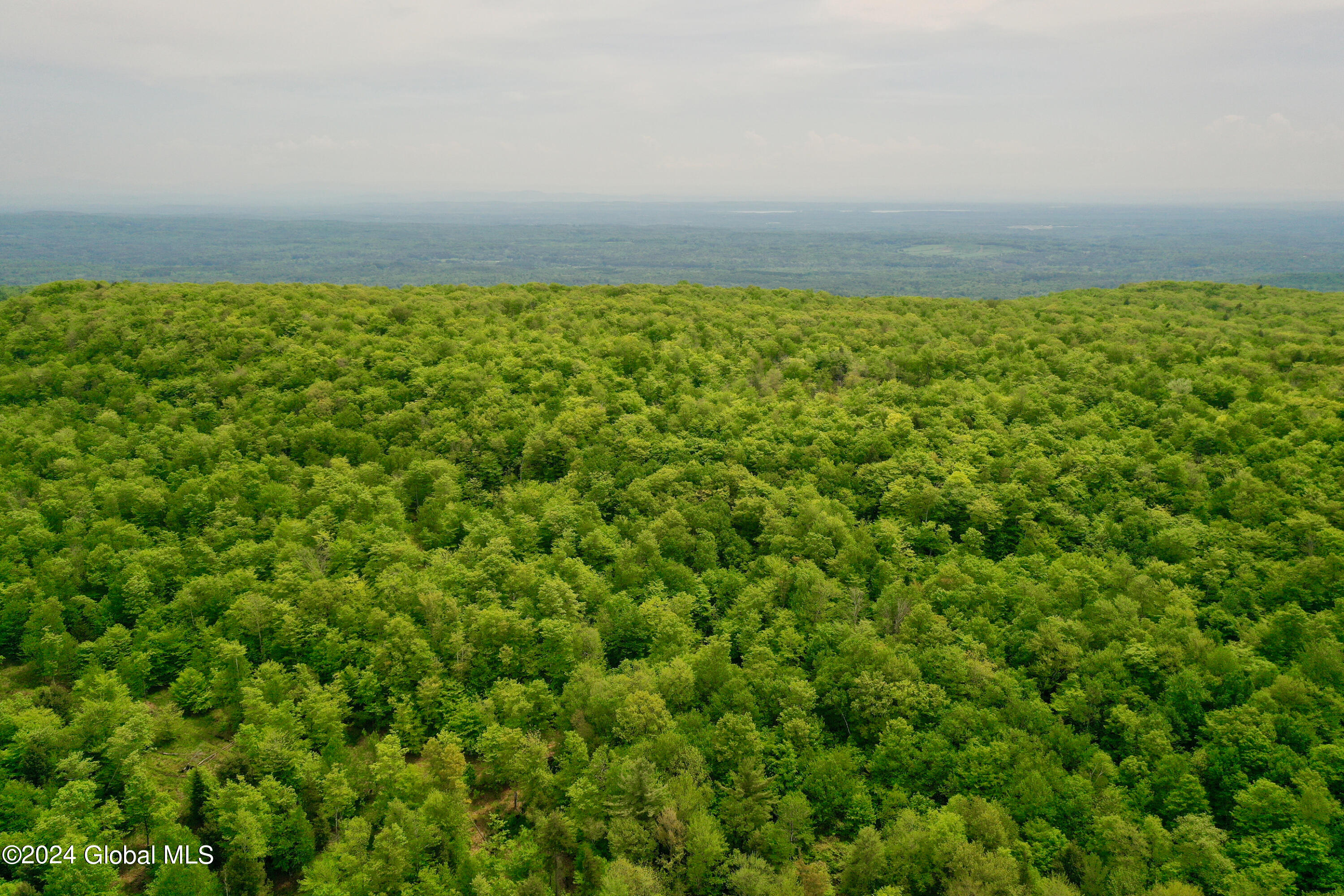 430 Lake Desolation Road Greenfield, NY 12850 - Photo 20 of 39 20