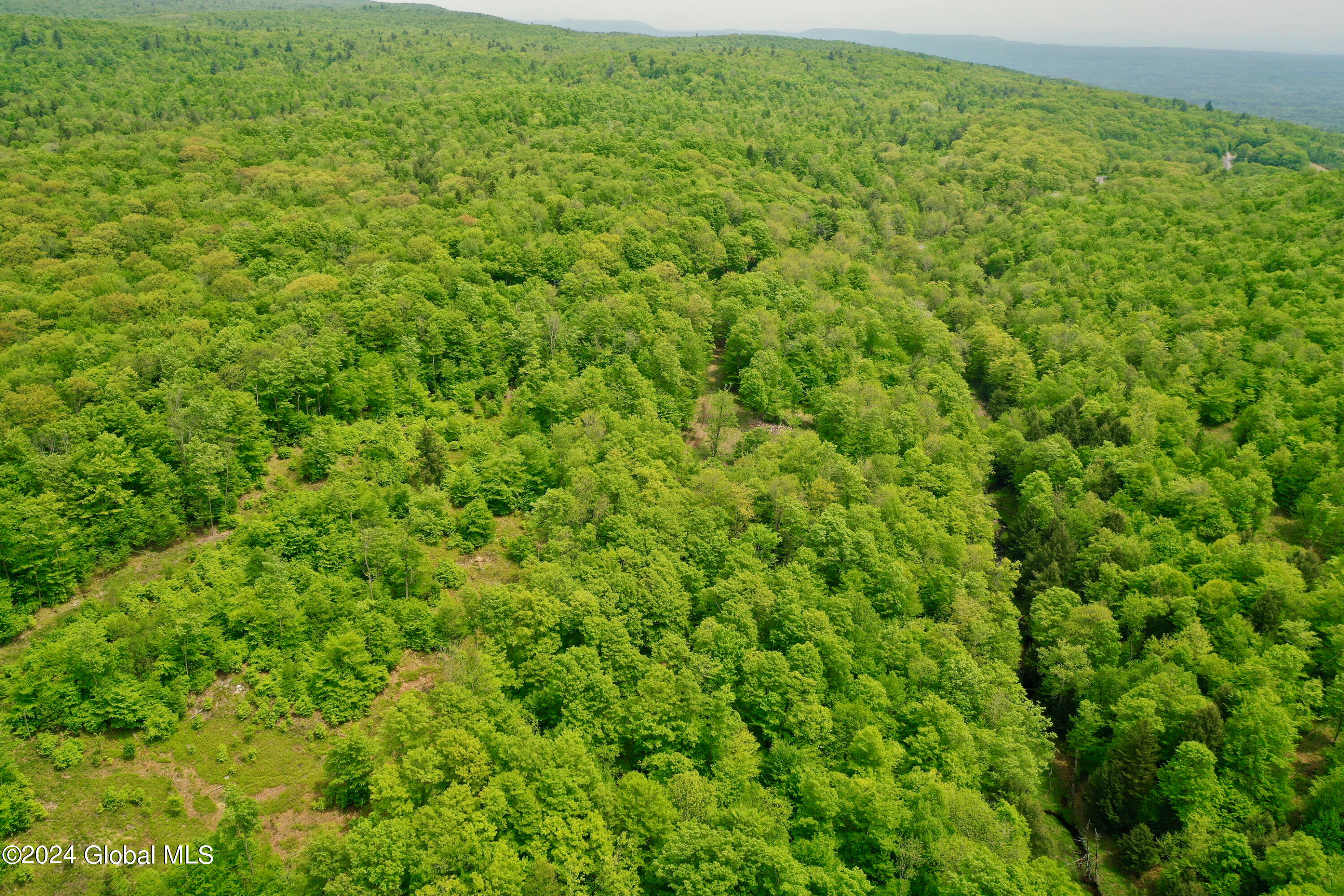 430 Lake Desolation Road Greenfield, NY 12850 - Photo 21 of 39 21