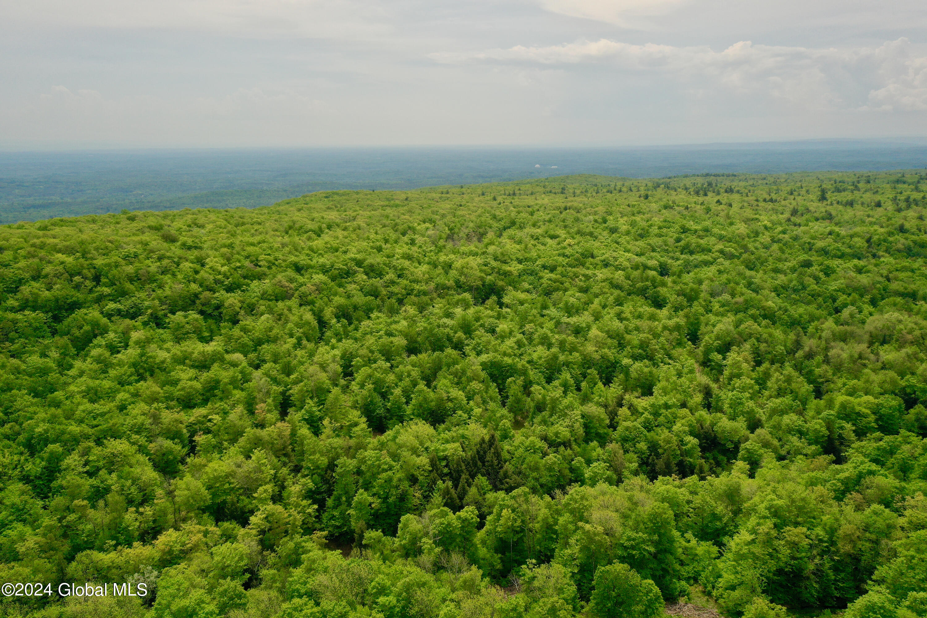 430 Lake Desolation Road Greenfield, NY 12850 - Photo 24 of 39 24