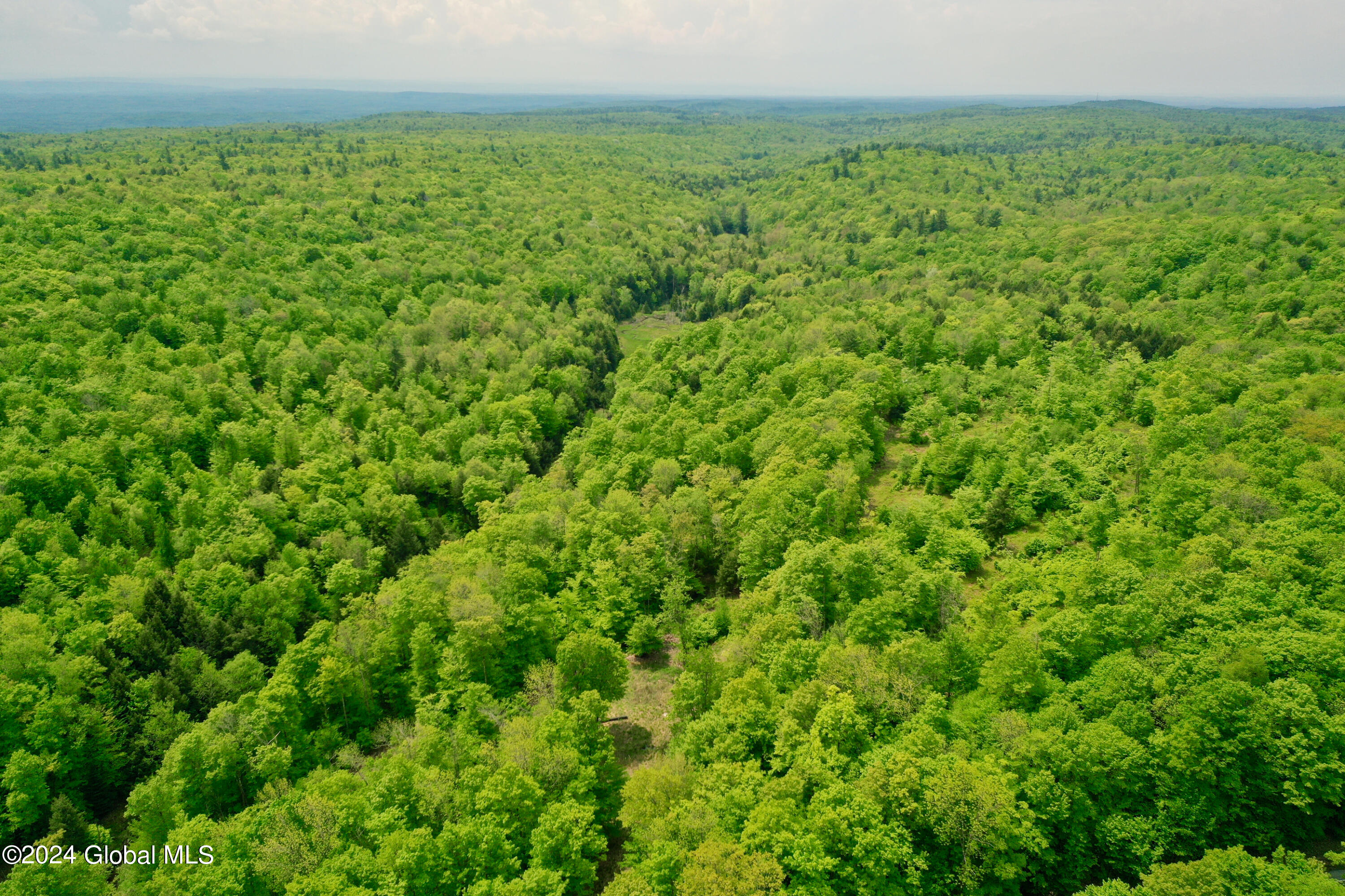 430 Lake Desolation Road Greenfield, NY 12850 - Photo 26 of 39 26
