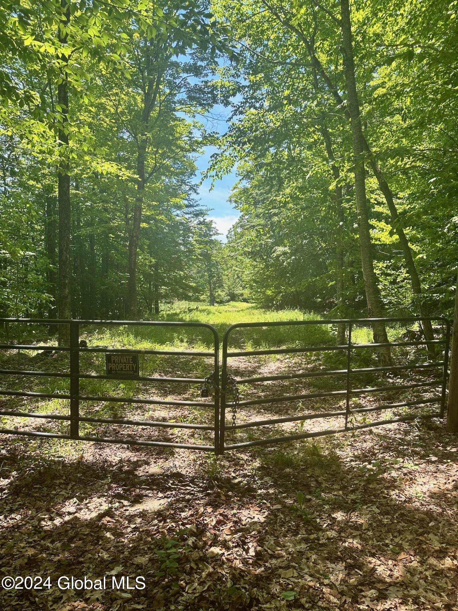 430 Lake Desolation Road Greenfield, NY 12850 - Photo 27 of 39 IMG_3862