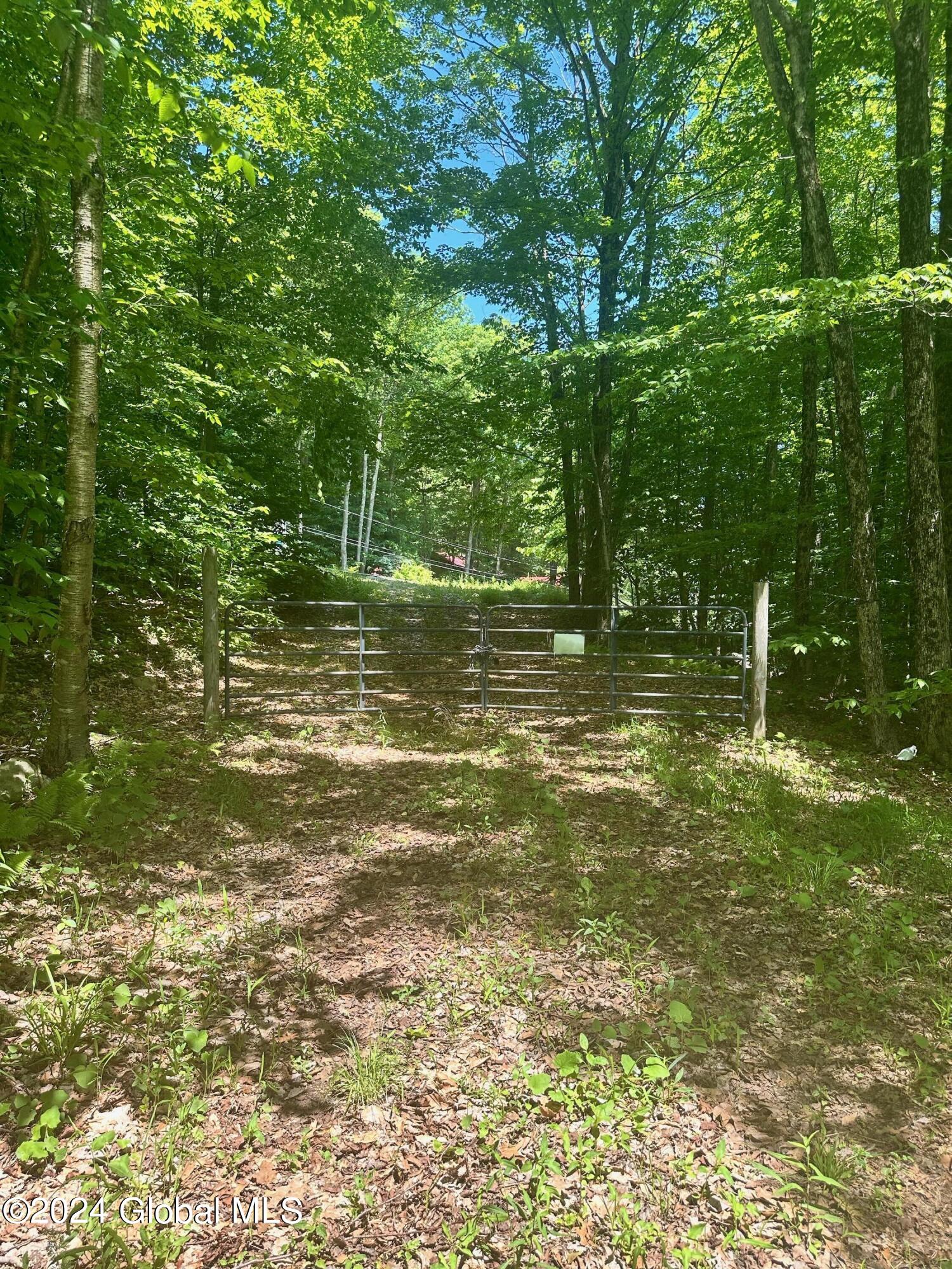 430 Lake Desolation Road Greenfield, NY 12850 - Photo 28 of 39 IMG_3863