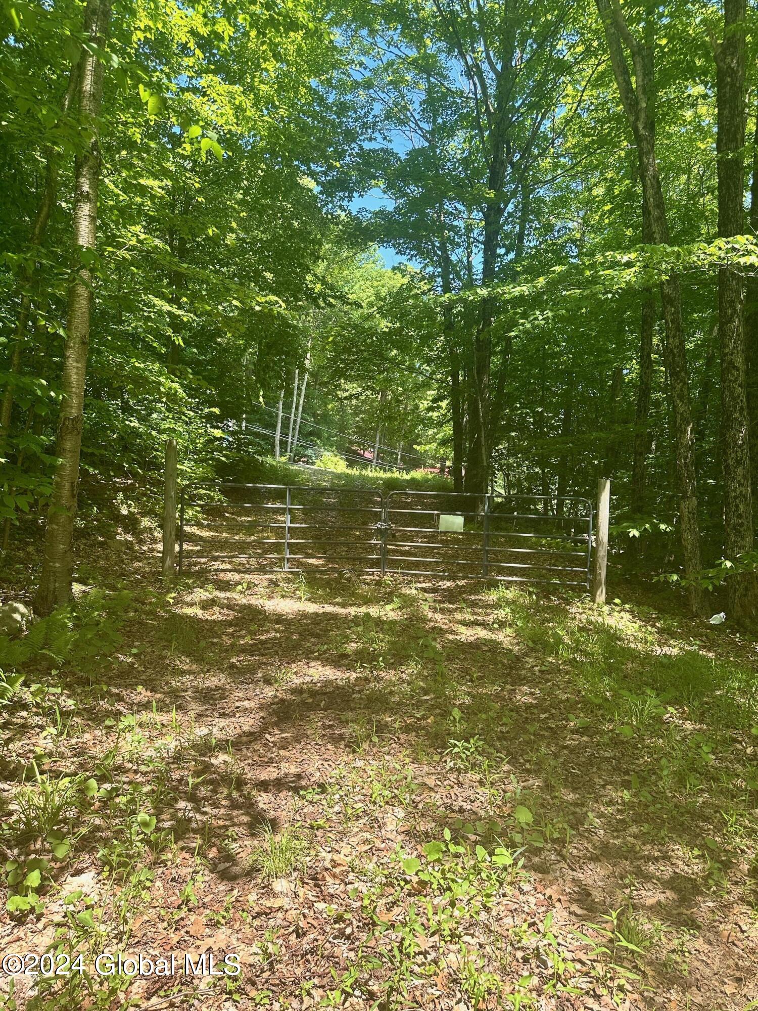 430 Lake Desolation Road Greenfield, NY 12850 - Photo 29 of 39 IMG_3864