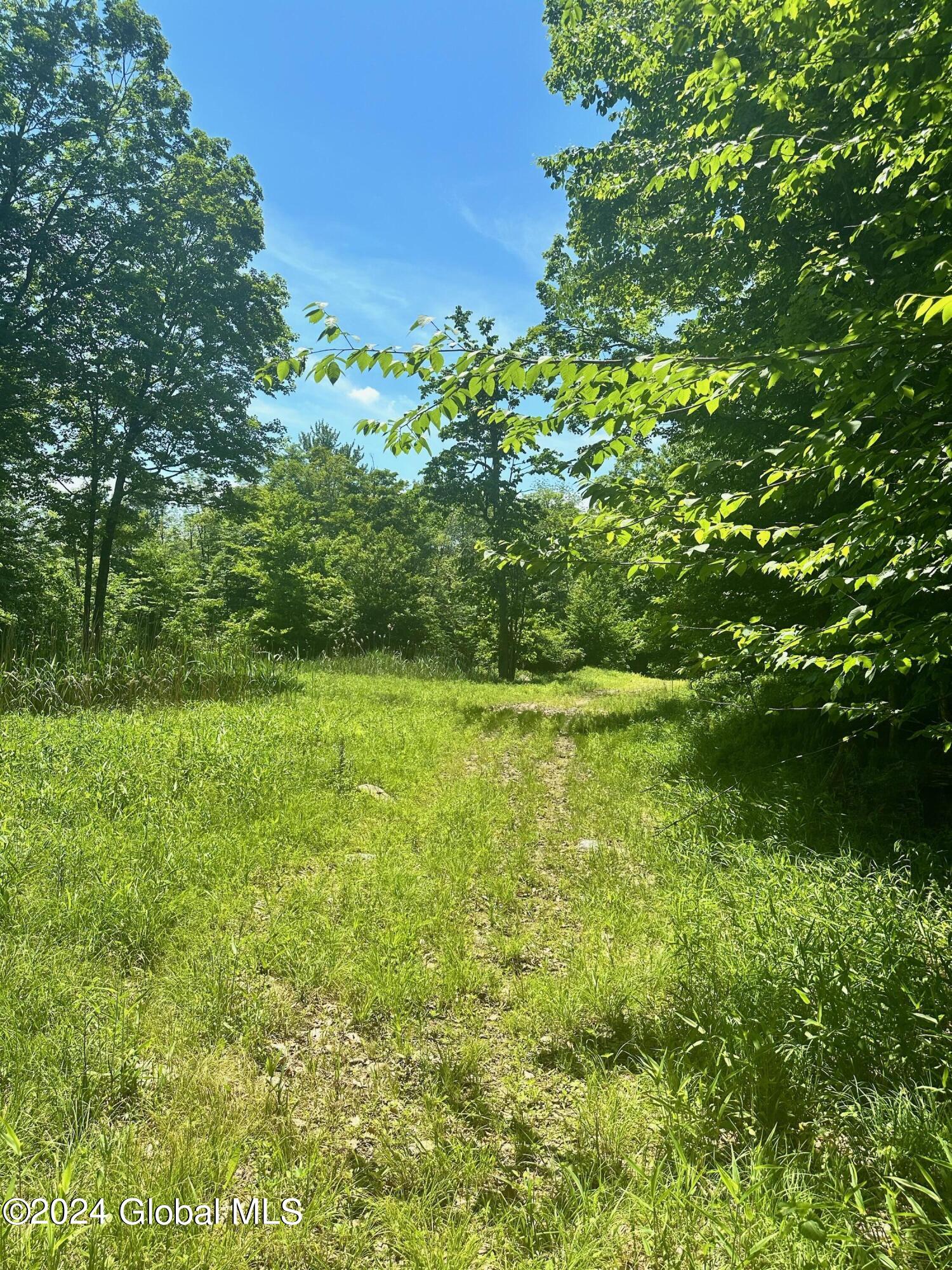 430 Lake Desolation Road Greenfield, NY 12850 - Photo 30 of 39 IMG_3867
