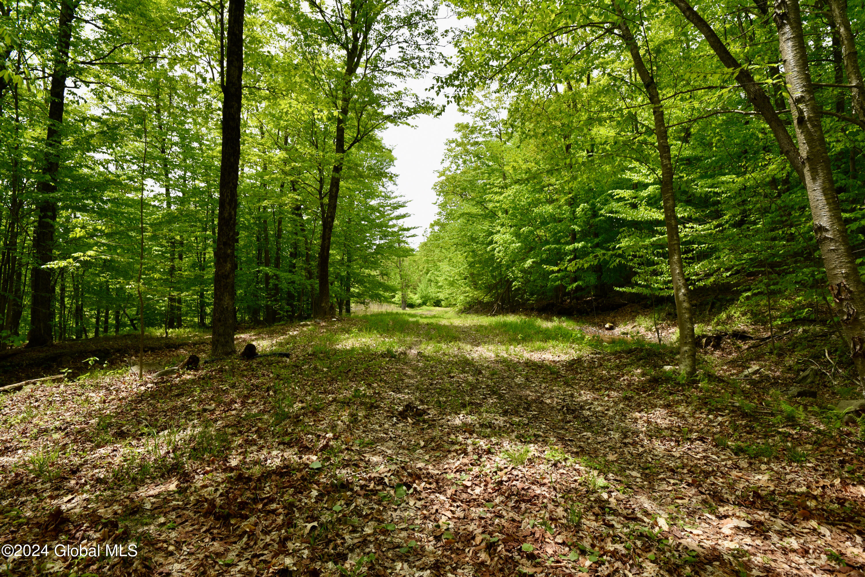430 Lake Desolation Road Greenfield, NY 12850 - Photo 3 of 39 3