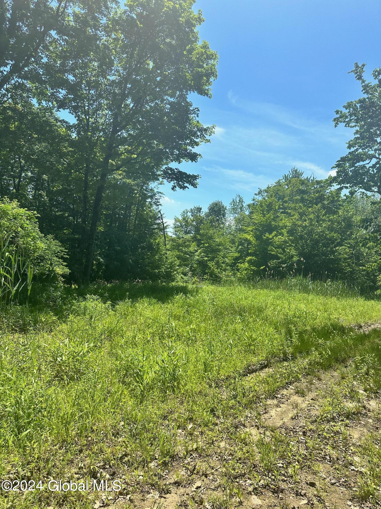 430 Lake Desolation Road Greenfield, NY 12850 - Photo 31 of 39 IMG_3868
