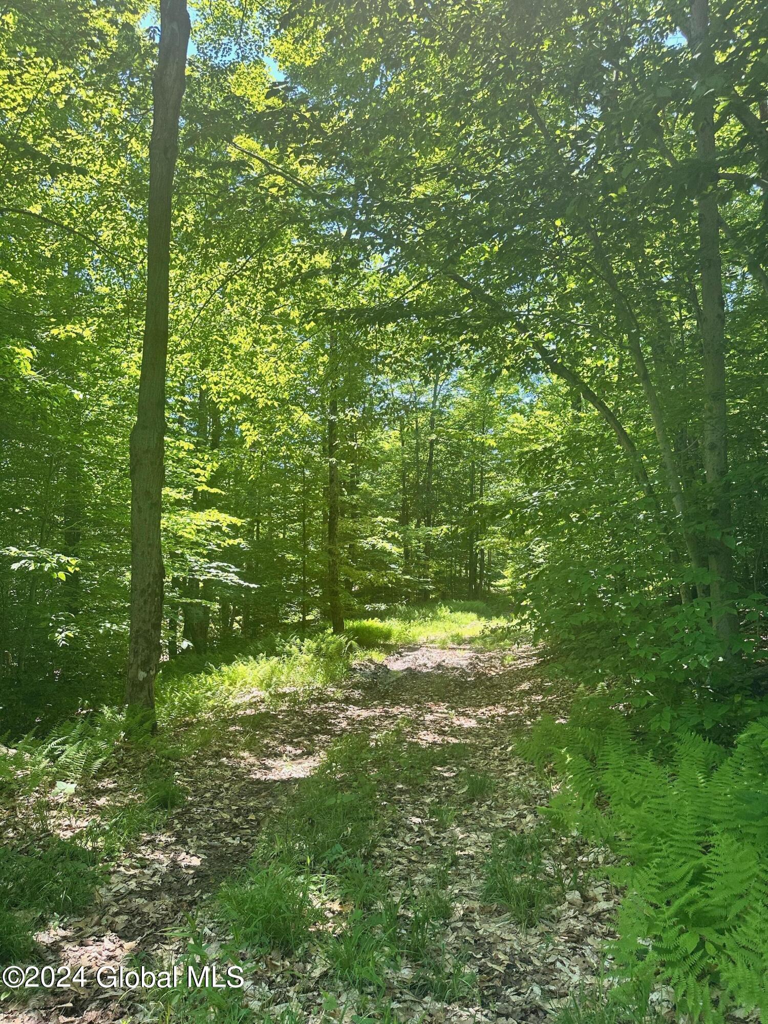 430 Lake Desolation Road Greenfield, NY 12850 - Photo 32 of 39 IMG_3869