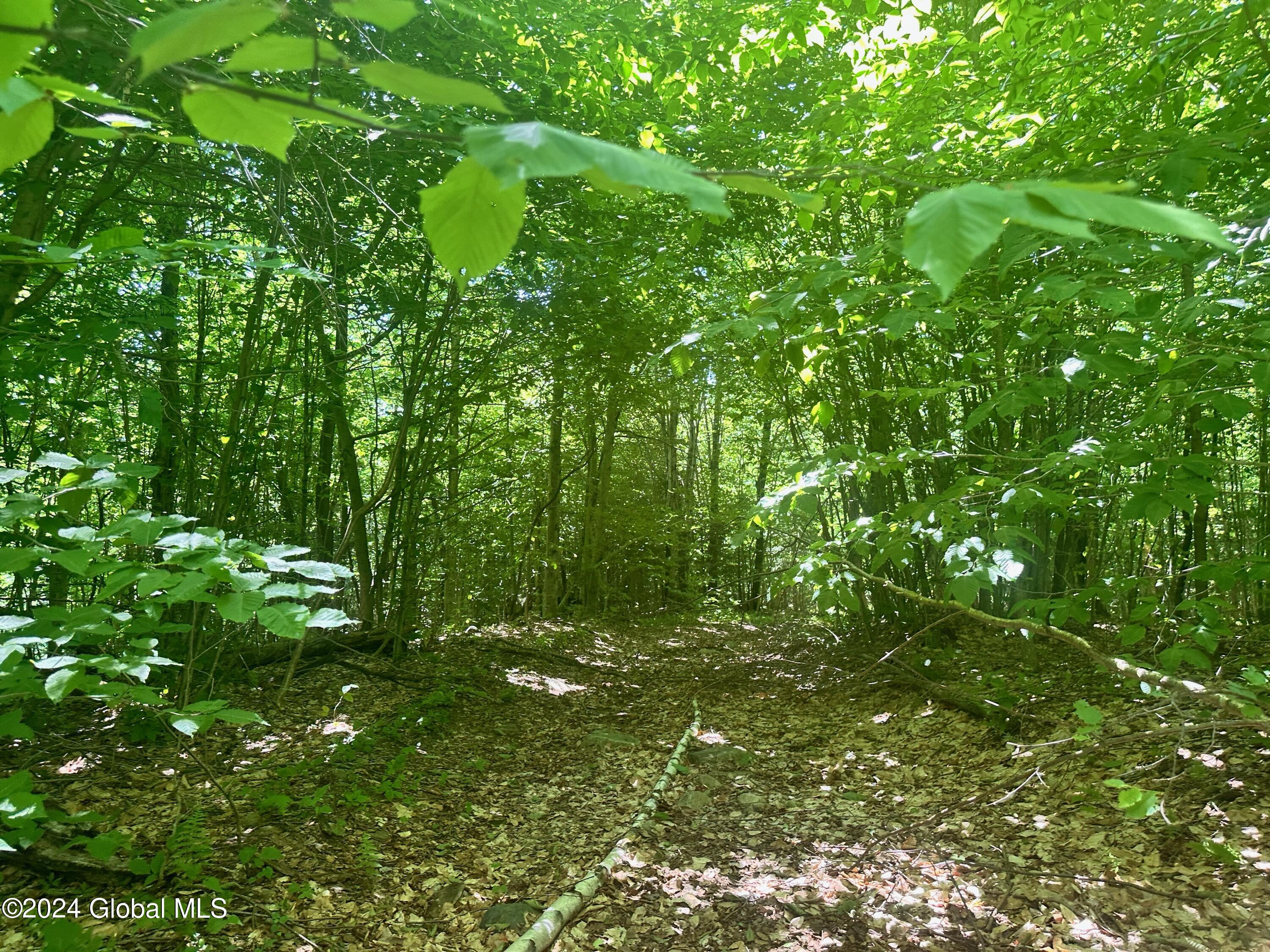 430 Lake Desolation Road Greenfield, NY 12850 - Photo 39 of 39 IMG_3877