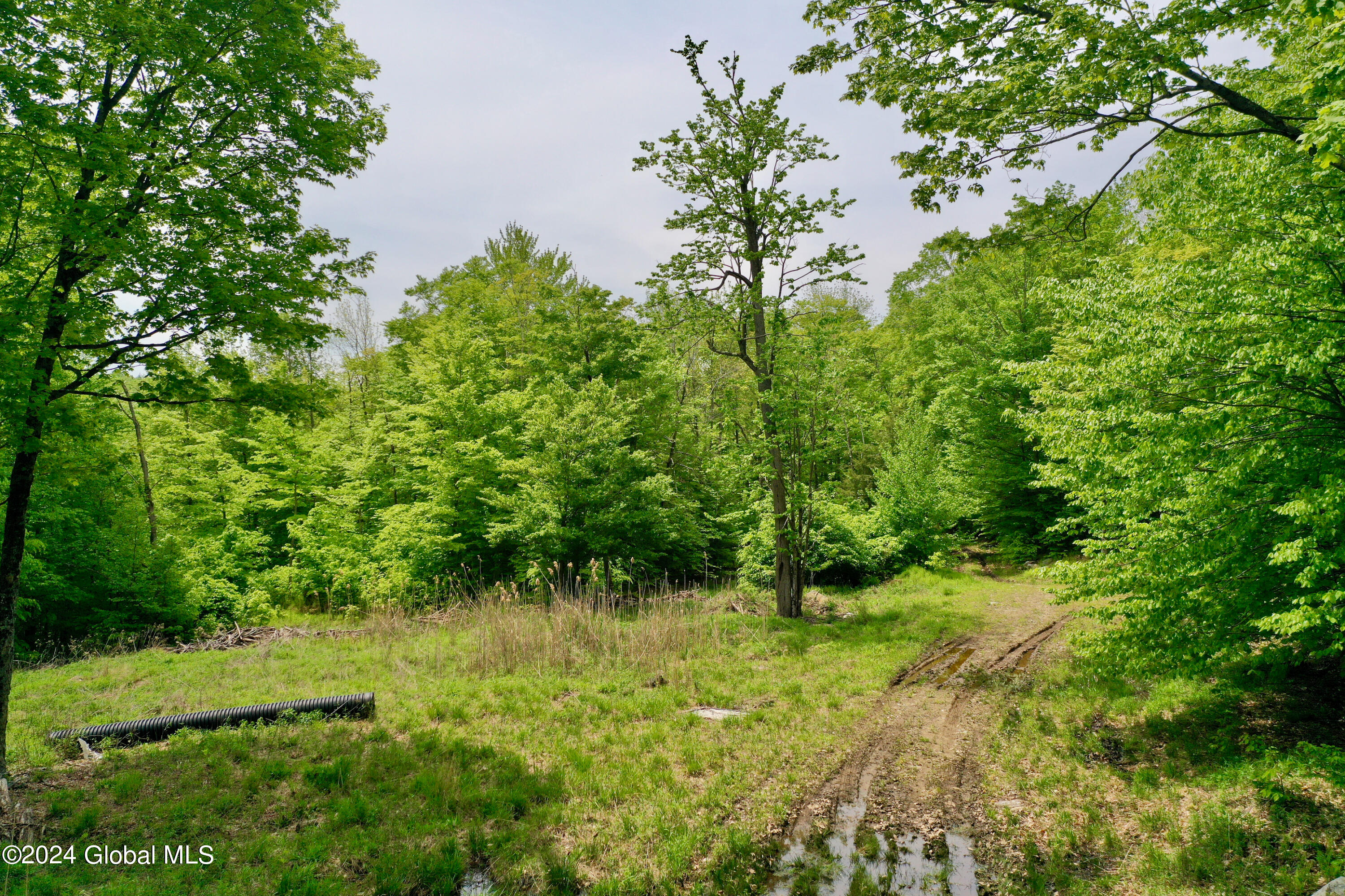 430 Lake Desolation Road Greenfield, NY 12850 - Photo 4 of 39 4