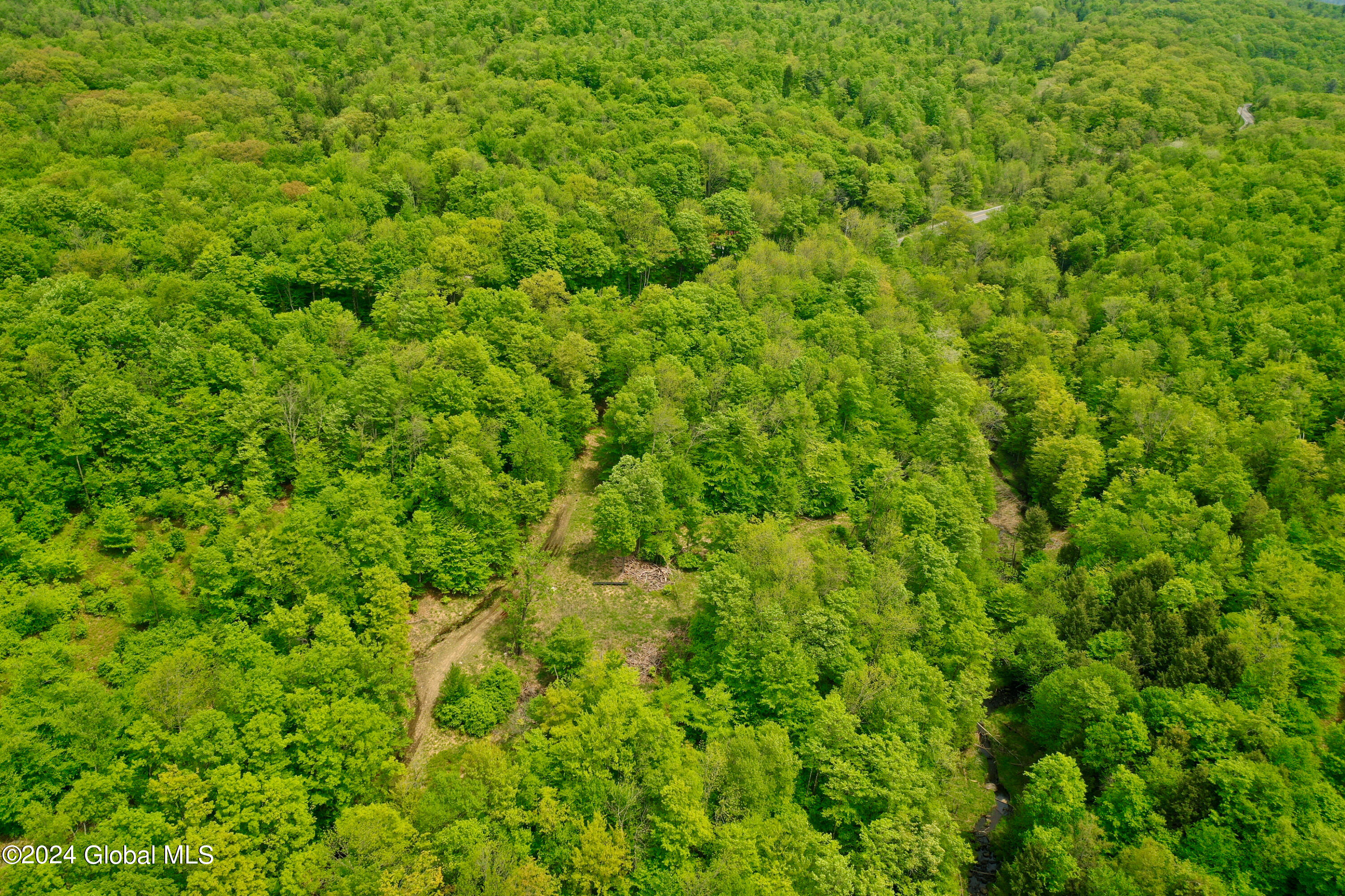 430 Lake Desolation Road Greenfield, NY 12850 - Photo 6 of 39 6