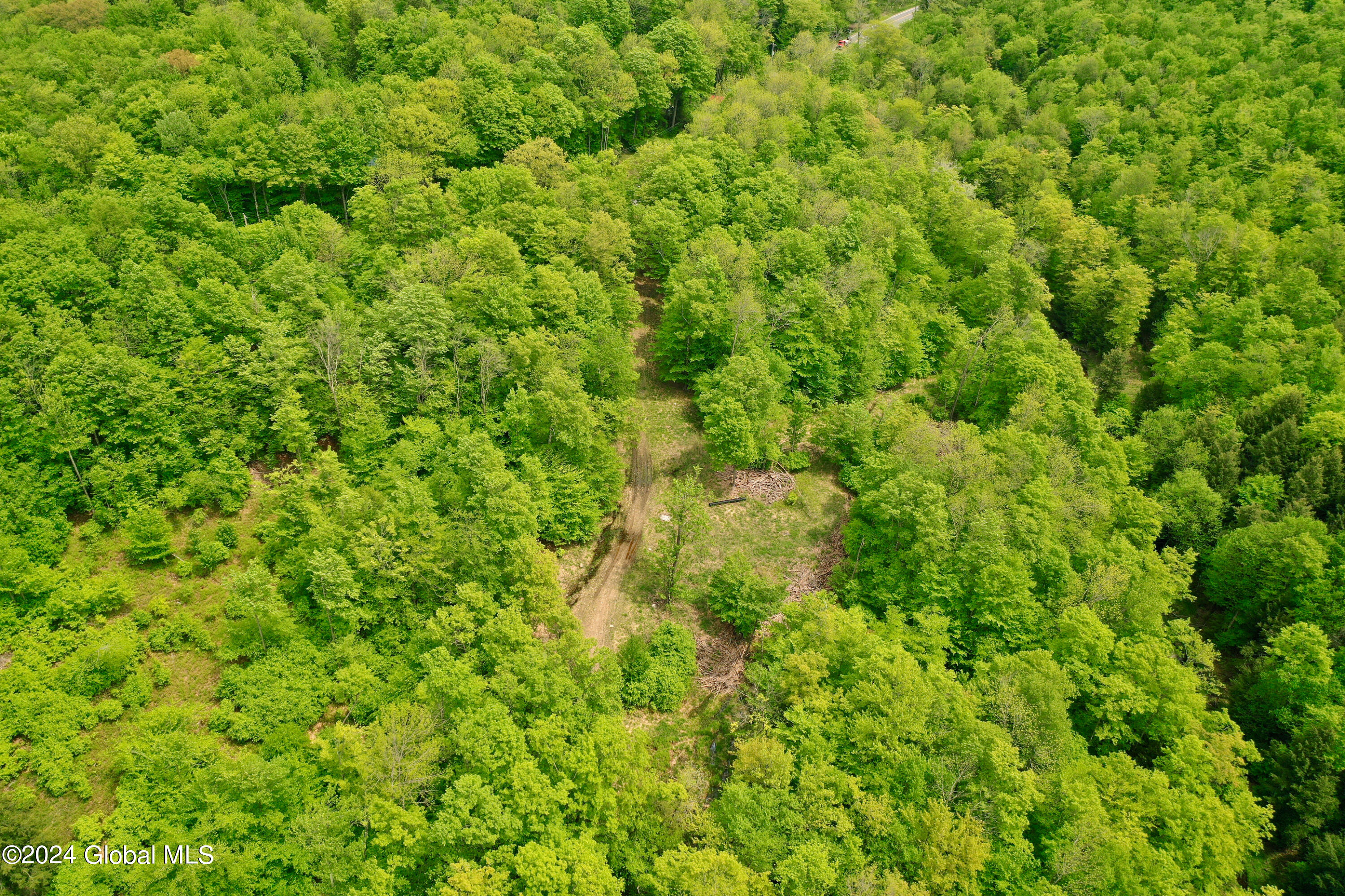 430 Lake Desolation Road Greenfield, NY 12850 - Photo 7 of 39 7