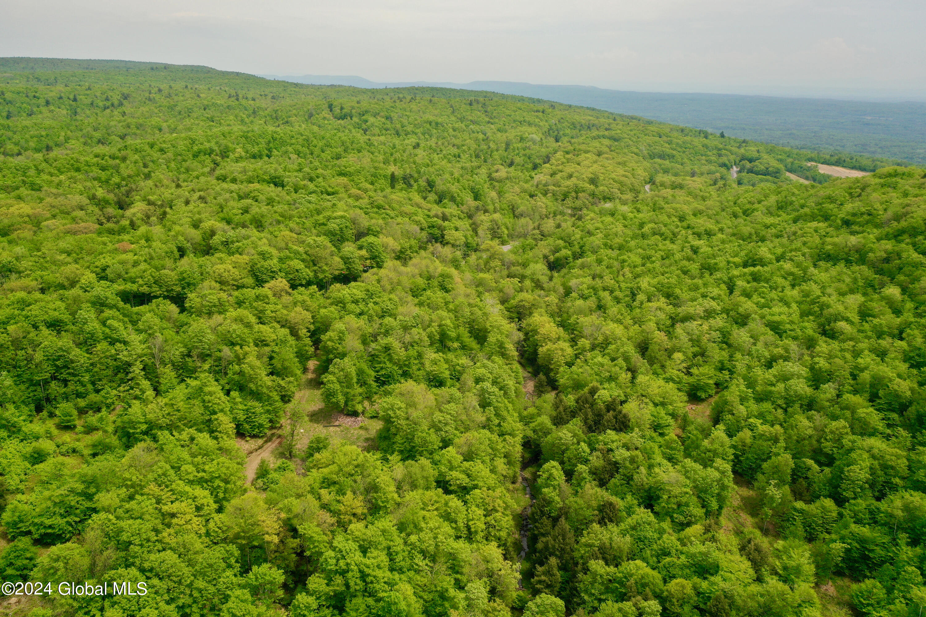 430 Lake Desolation Road Greenfield, NY 12850 - Photo 8 of 39 8