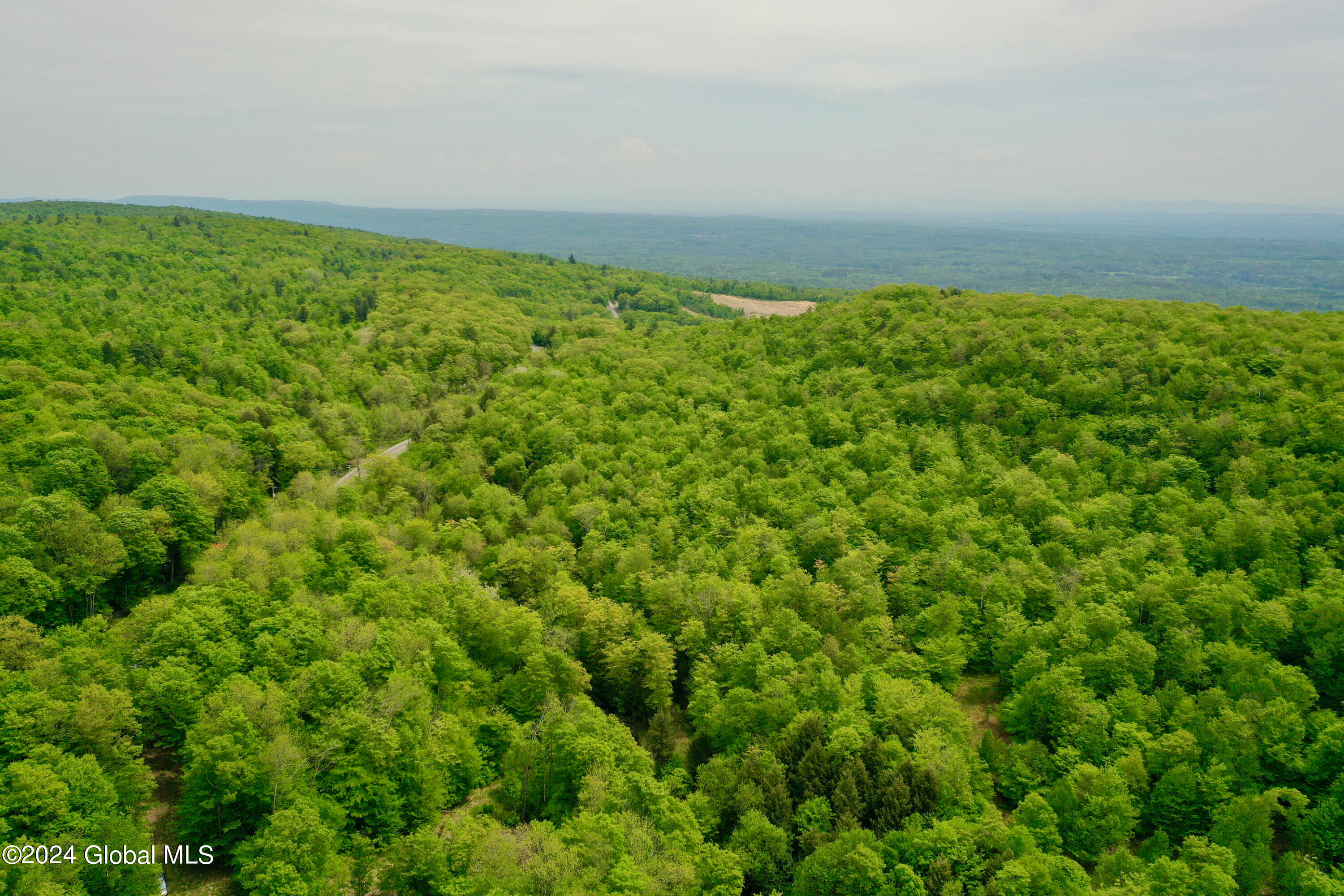 430 Lake Desolation Road Greenfield, NY 12850 - Photo 9 of 39 9