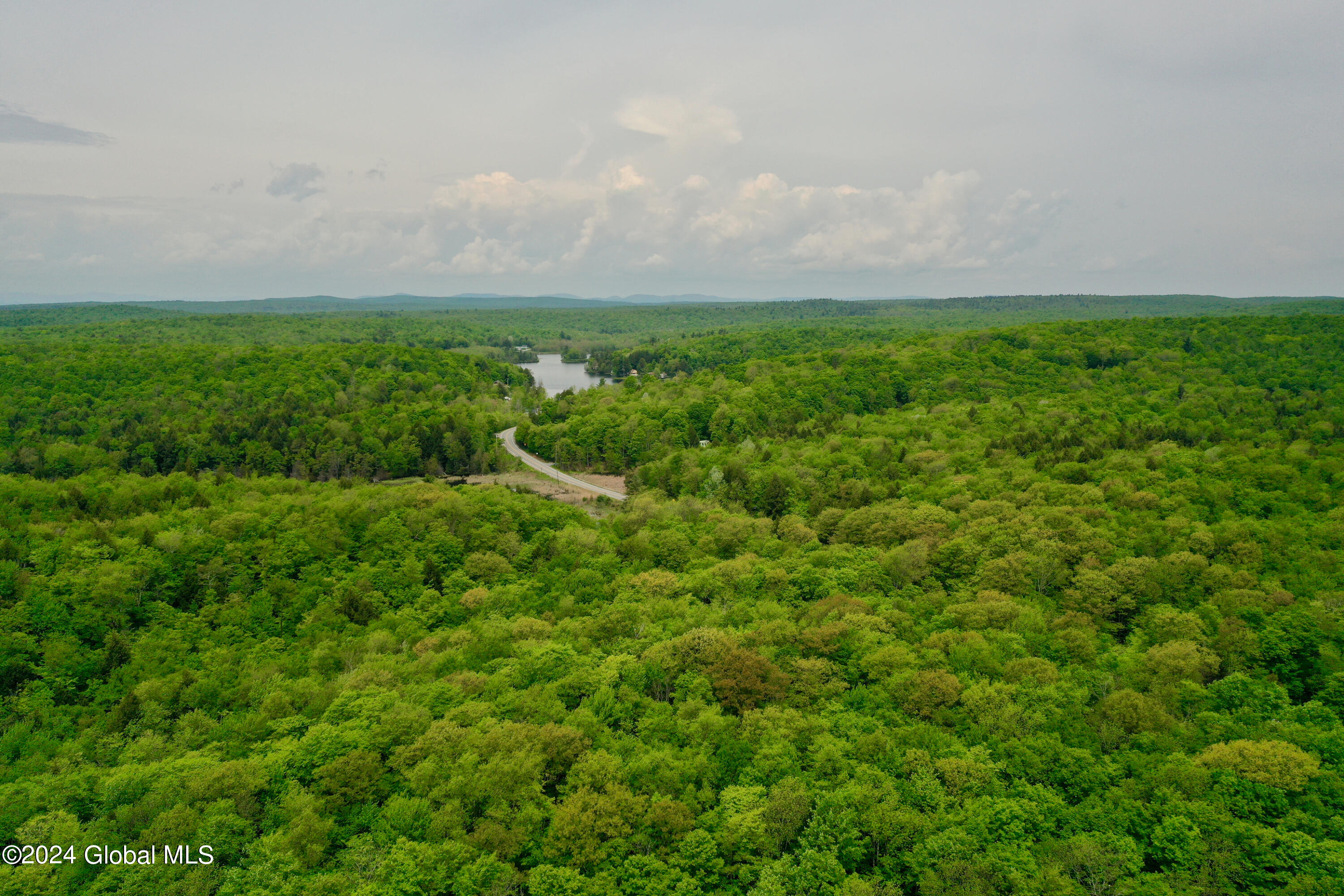 430 Lake Desolation Road Greenfield, NY 12850 - Photo 10 of 39 10