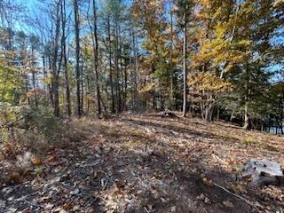 Map 19-lot Map 19-lot Off Robbins Road Belfast, ME 04915 - Photo 12 of 14 IMG953947