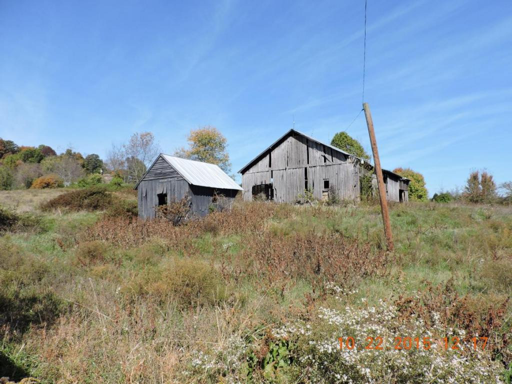 4545 Old Snapps Ferry Road Limestone, TN 37681 - Photo 7 of 24 Barn and Corncrib