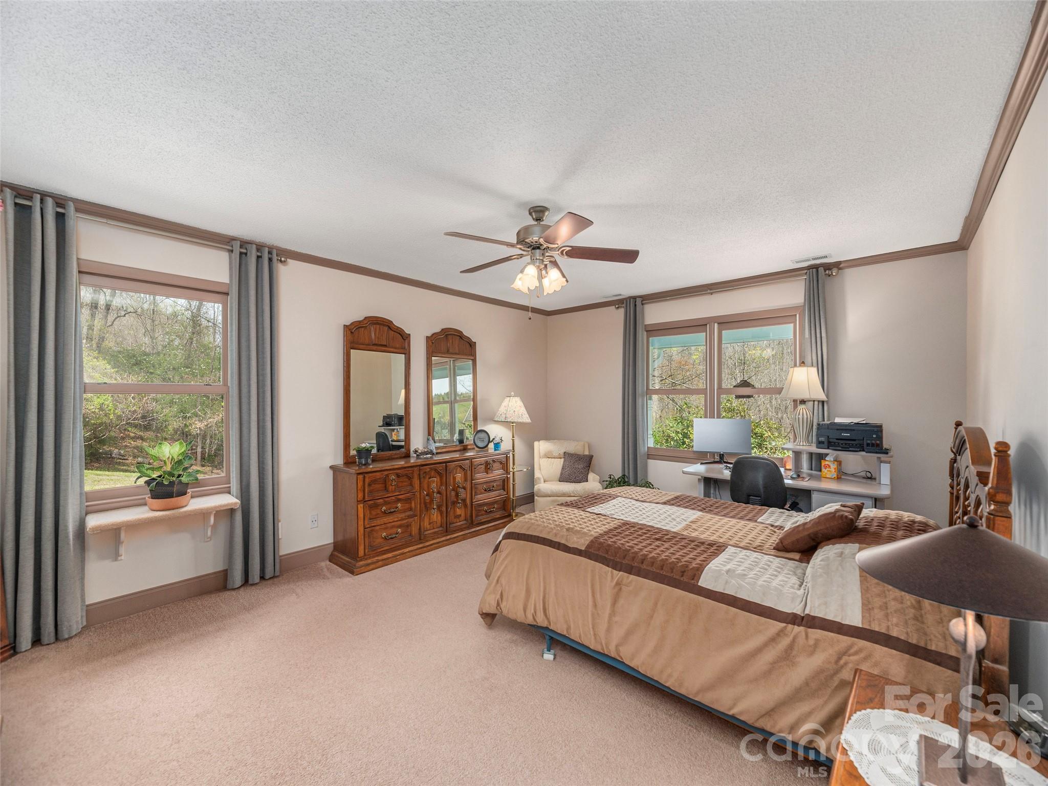 444 Martin Branch Road Leicester, NC 28748 - Photo 14 of 39