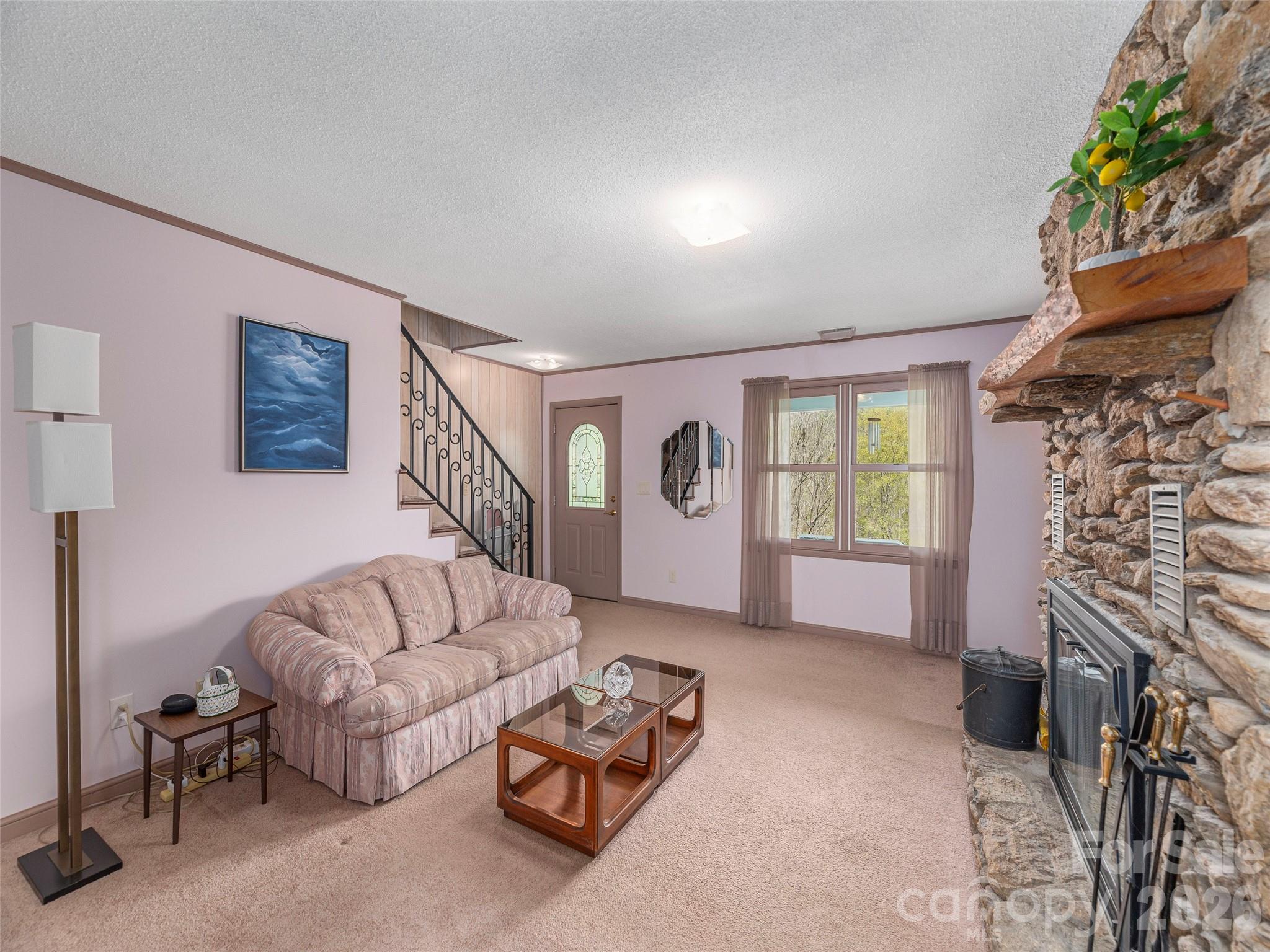 444 Martin Branch Road Leicester, NC 28748 - Photo 6 of 39