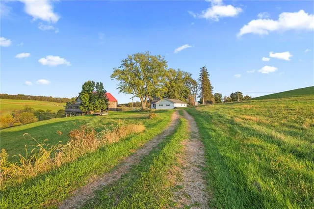 a view of a lake from a yard