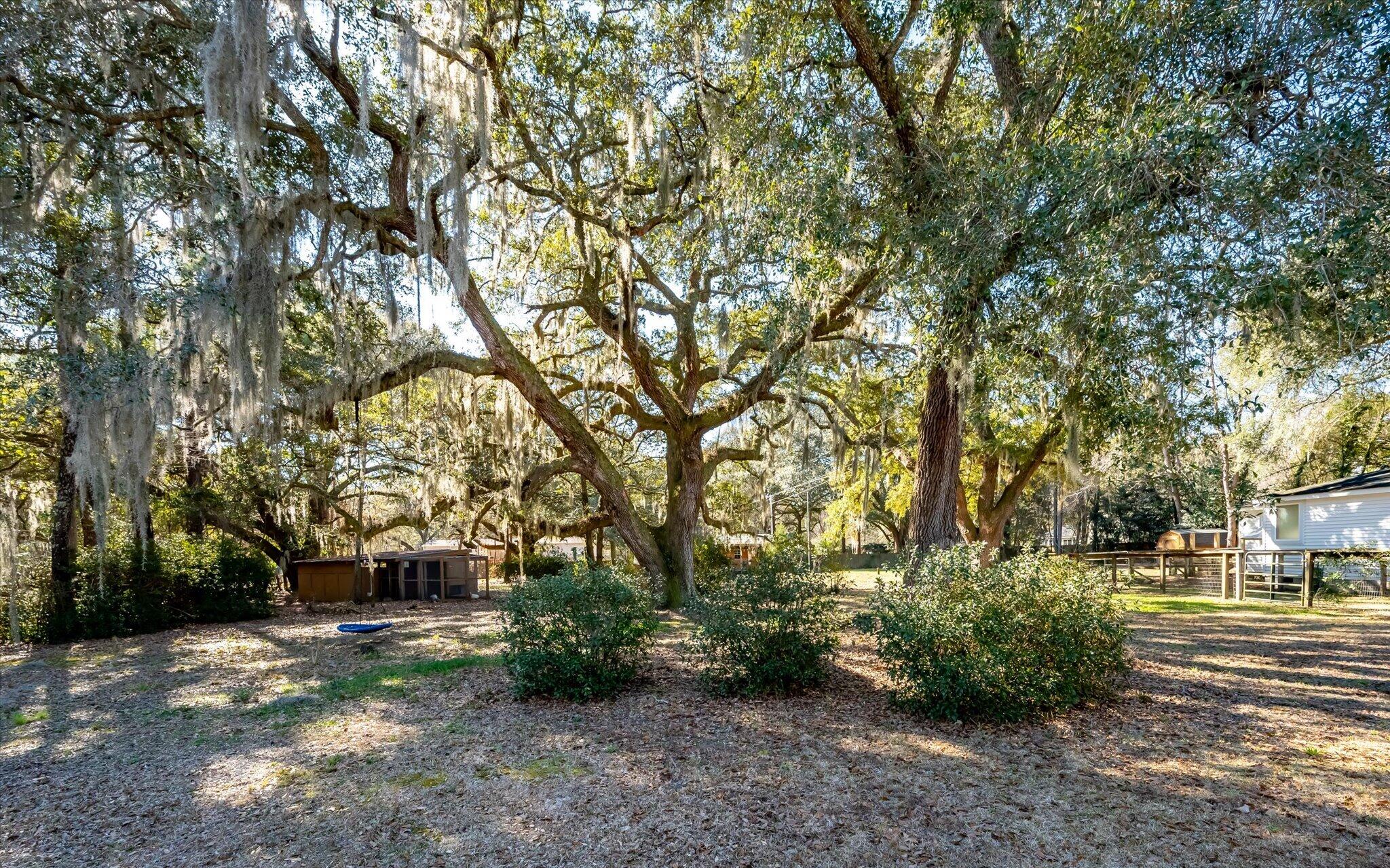 7967 Highway 162 Hollywood, SC 29449 - Photo 33 of 50 55-7967 Hwy 162_e_Lowcountry_Exposure-4