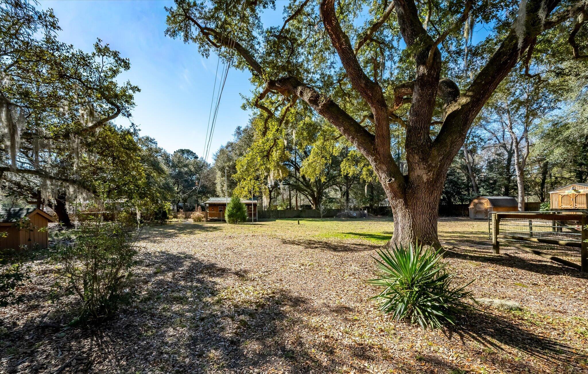 7967 Highway 162 Hollywood, SC 29449 - Photo 44 of 50 63-7967 Hwy 162_e_Lowcountry_Exposure-25