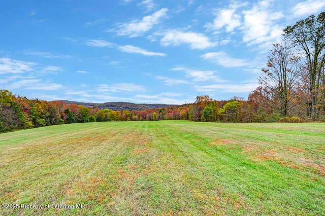 a living room with fireplace furniture and a wooden floor