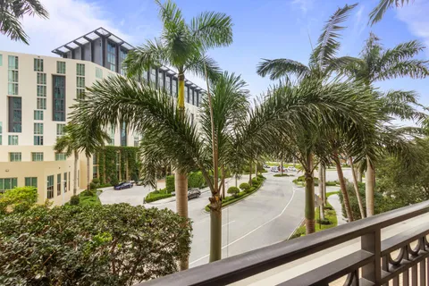 a view of a yard with a palm tree