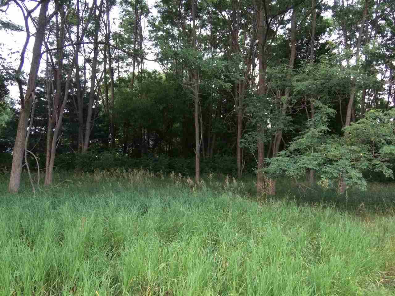 0 Mt Vernon Rochester, MI 48306 - Photo 1 of 1 Gallery Image 1