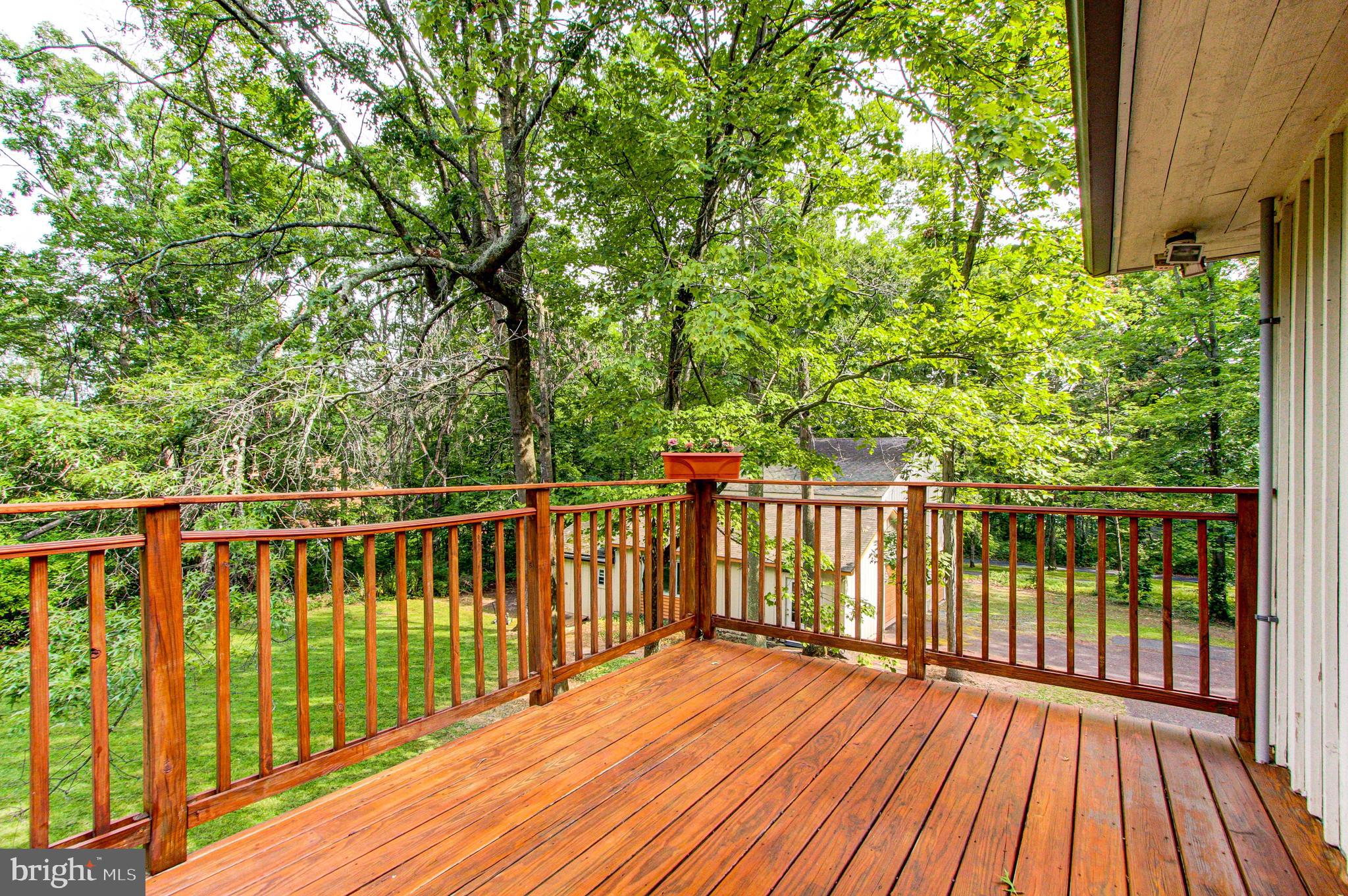 113 Forrest Road Telford, PA 18969 - Photo 31 of 51