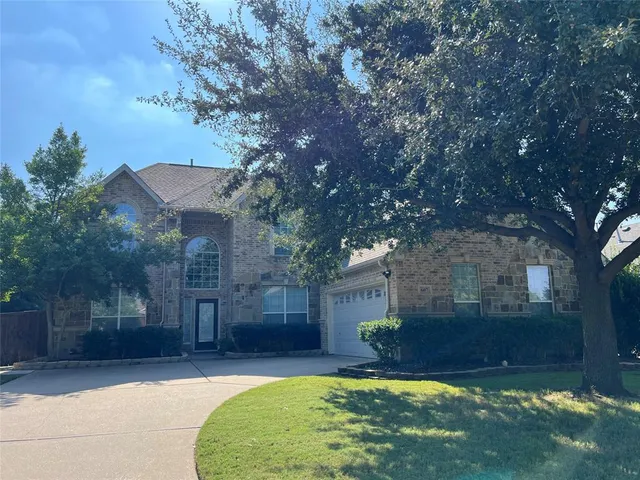 a view of a backyard with a large tree