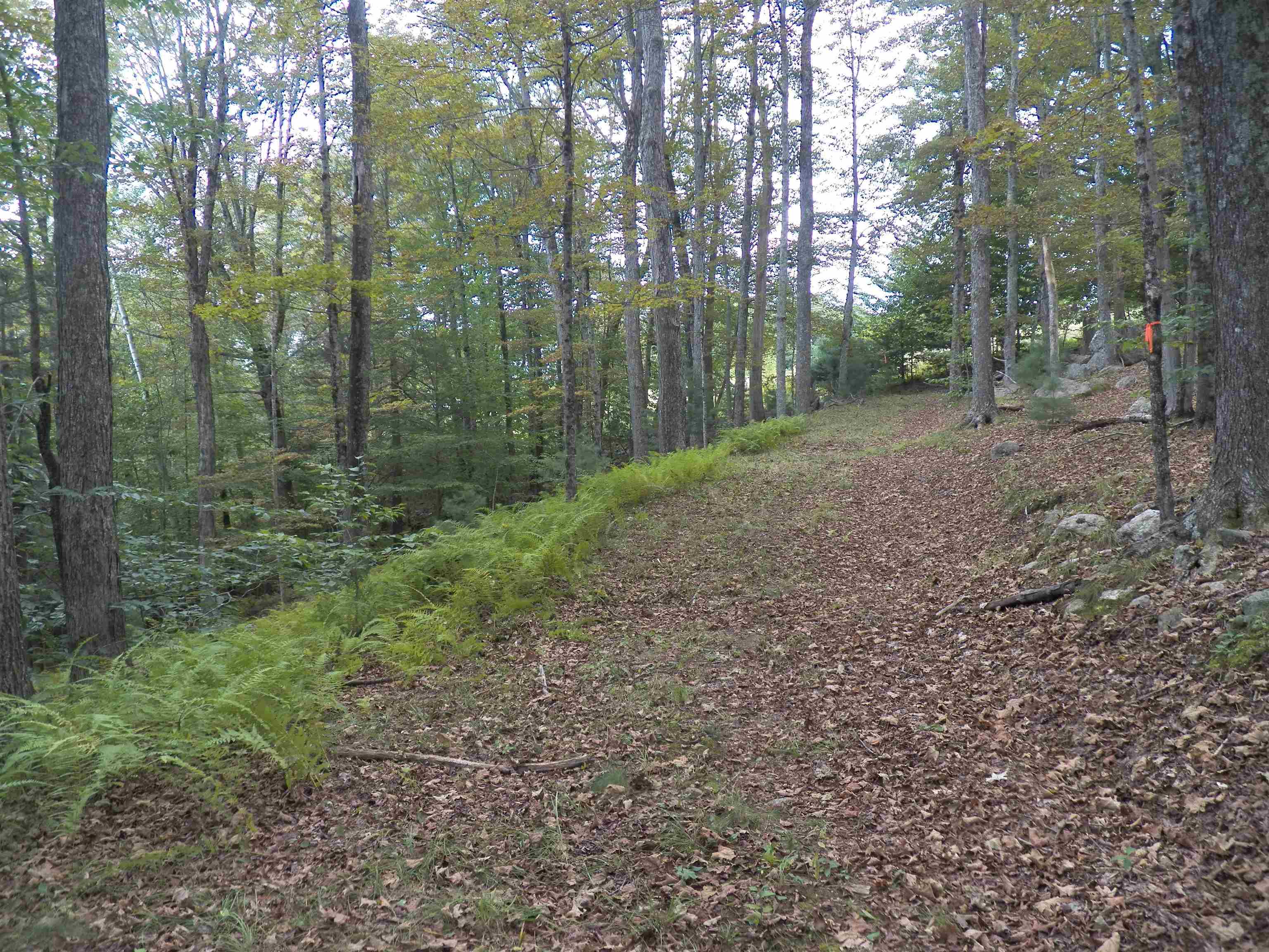 23 Nottingham Road Deerfield, NH 03037 - Photo 22 of 39