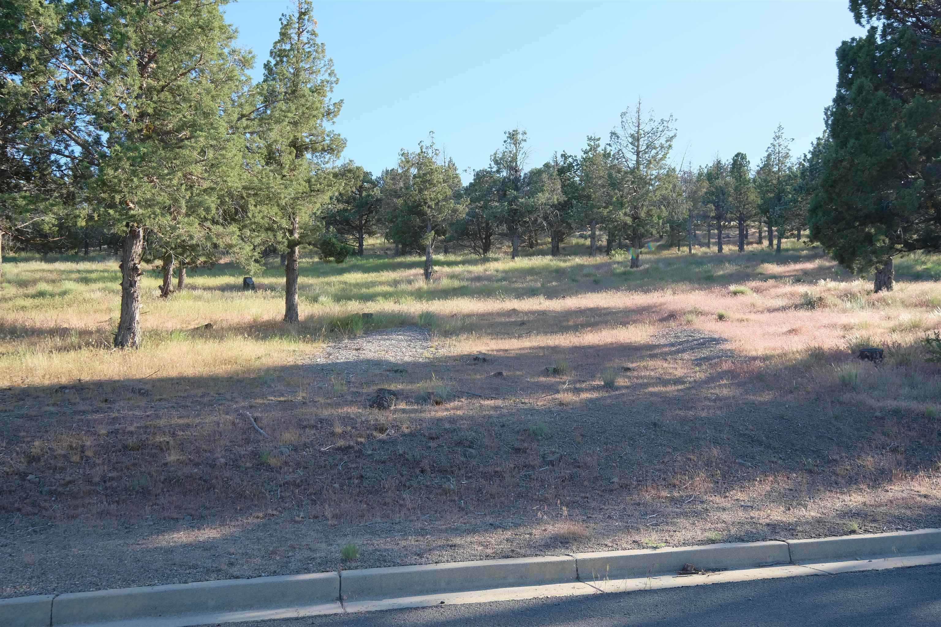 9-1 Unit Road Weed, CA 96094 - Photo 19 of 30 Gallery Image 19