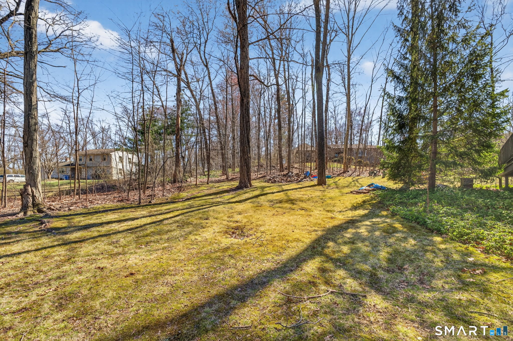 737 Shepard Avenue Hamden, CT 06514 - Photo 13 of 33 a view of yard with large trees