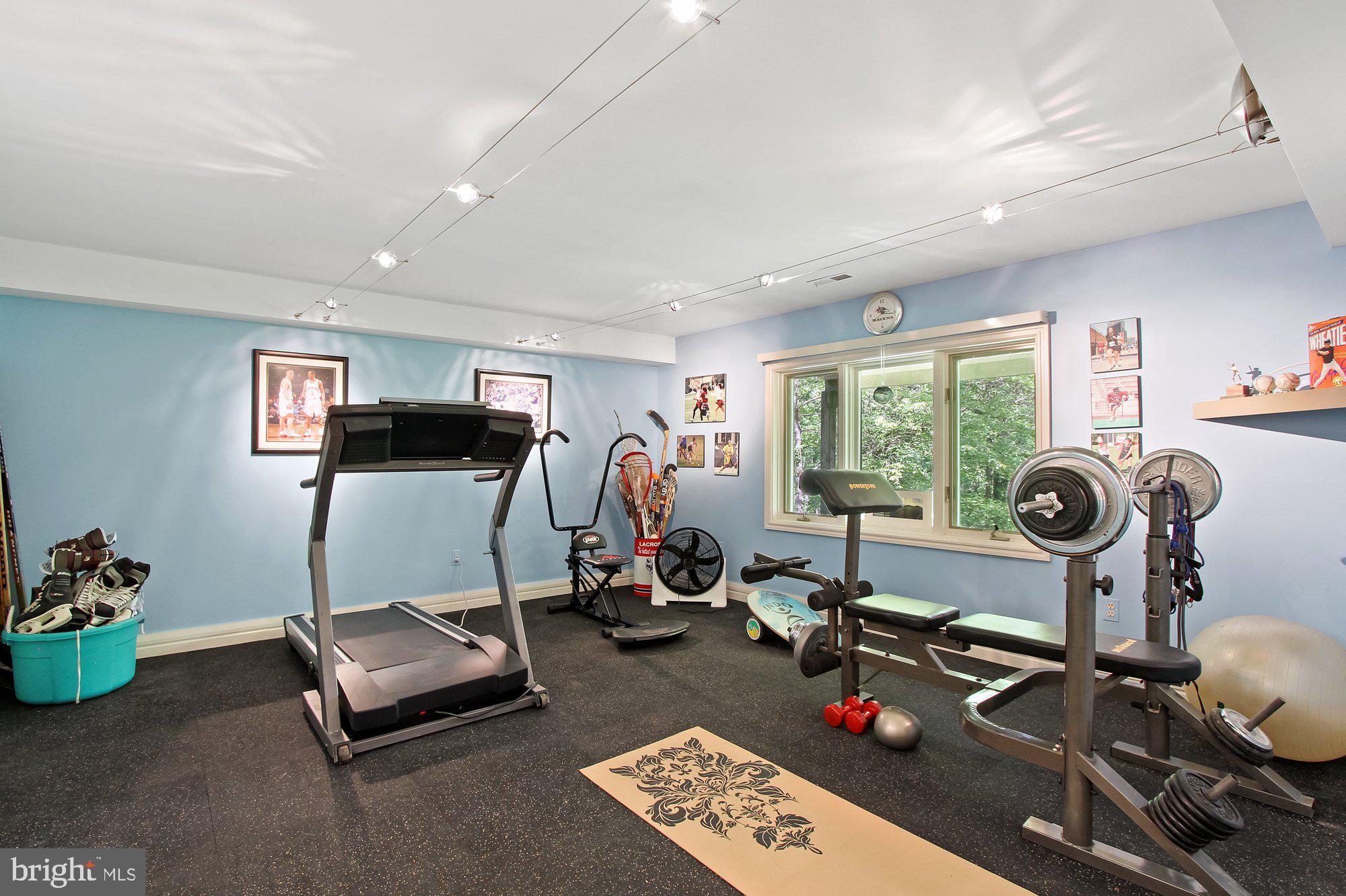 14815 Manor Road Monkton, MD 21111 - Photo 20 of 87 Home Gym