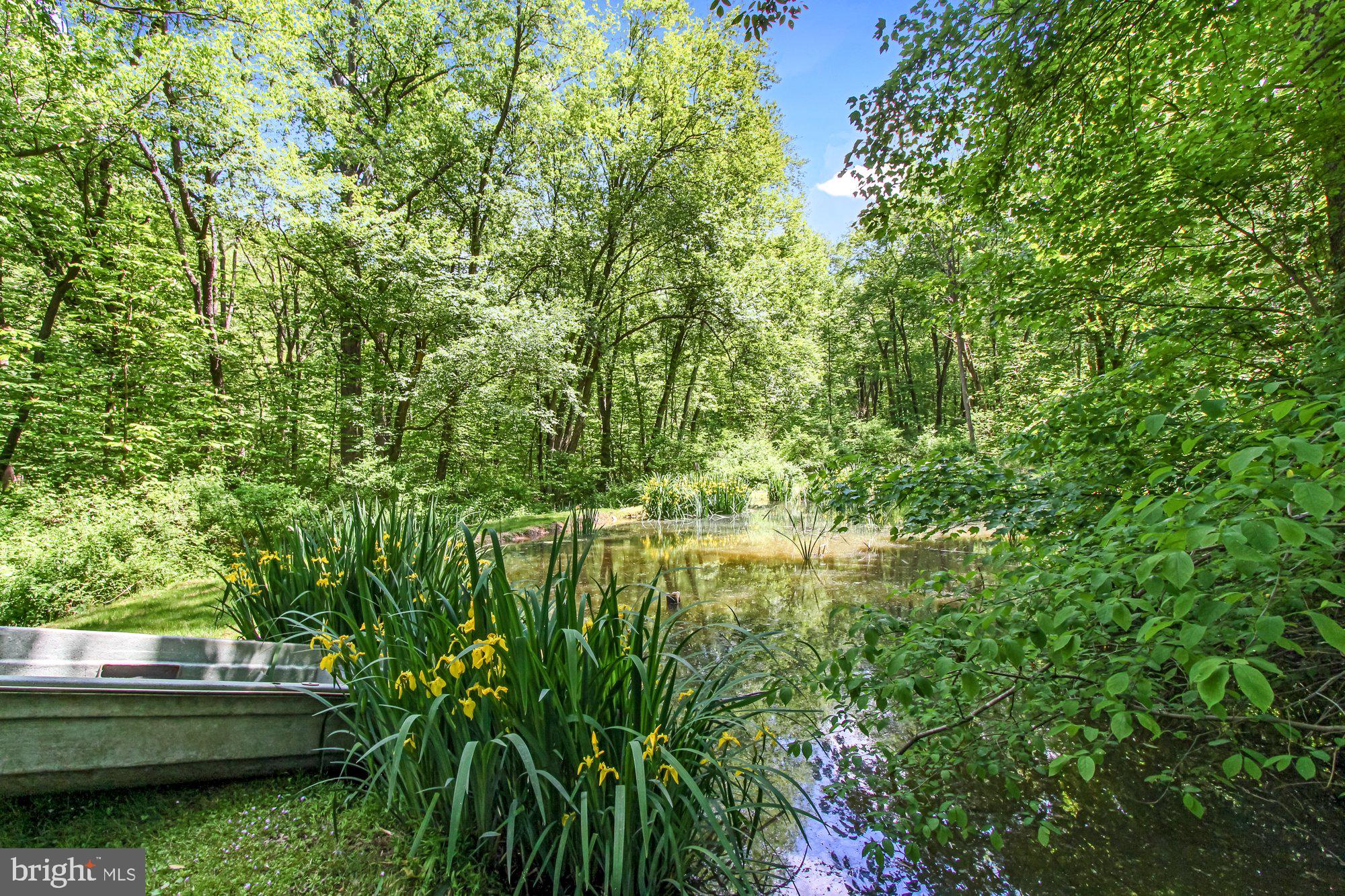 14815 Manor Road Monkton, MD 21111 - Photo 64 of 87 Can you Hear the Bull Frogs?