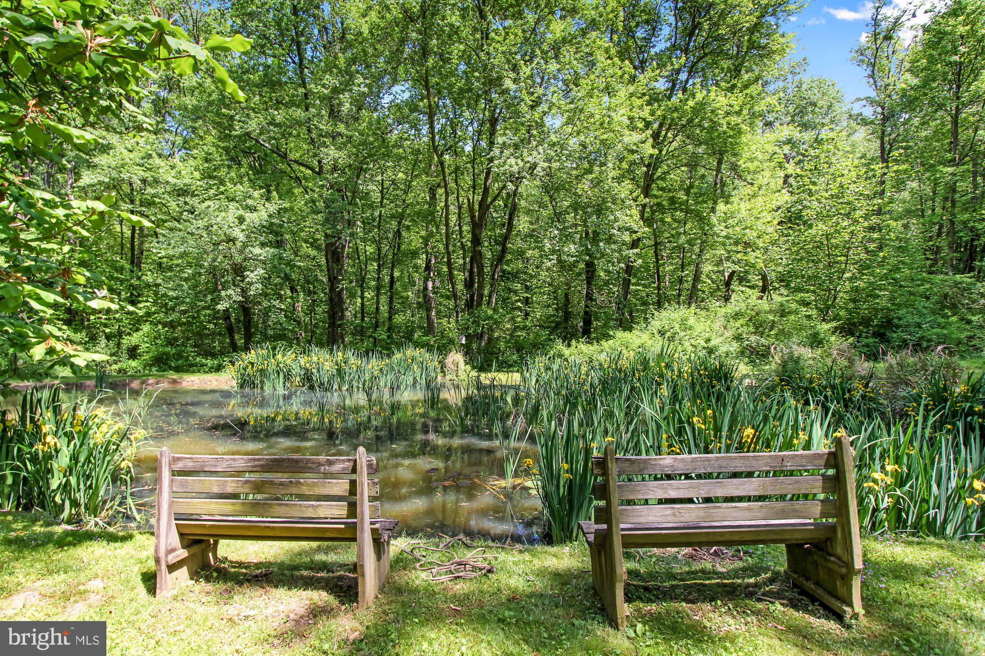14815 Manor Road Monkton, MD 21111 - Photo 65 of 87 Relax by Pond
