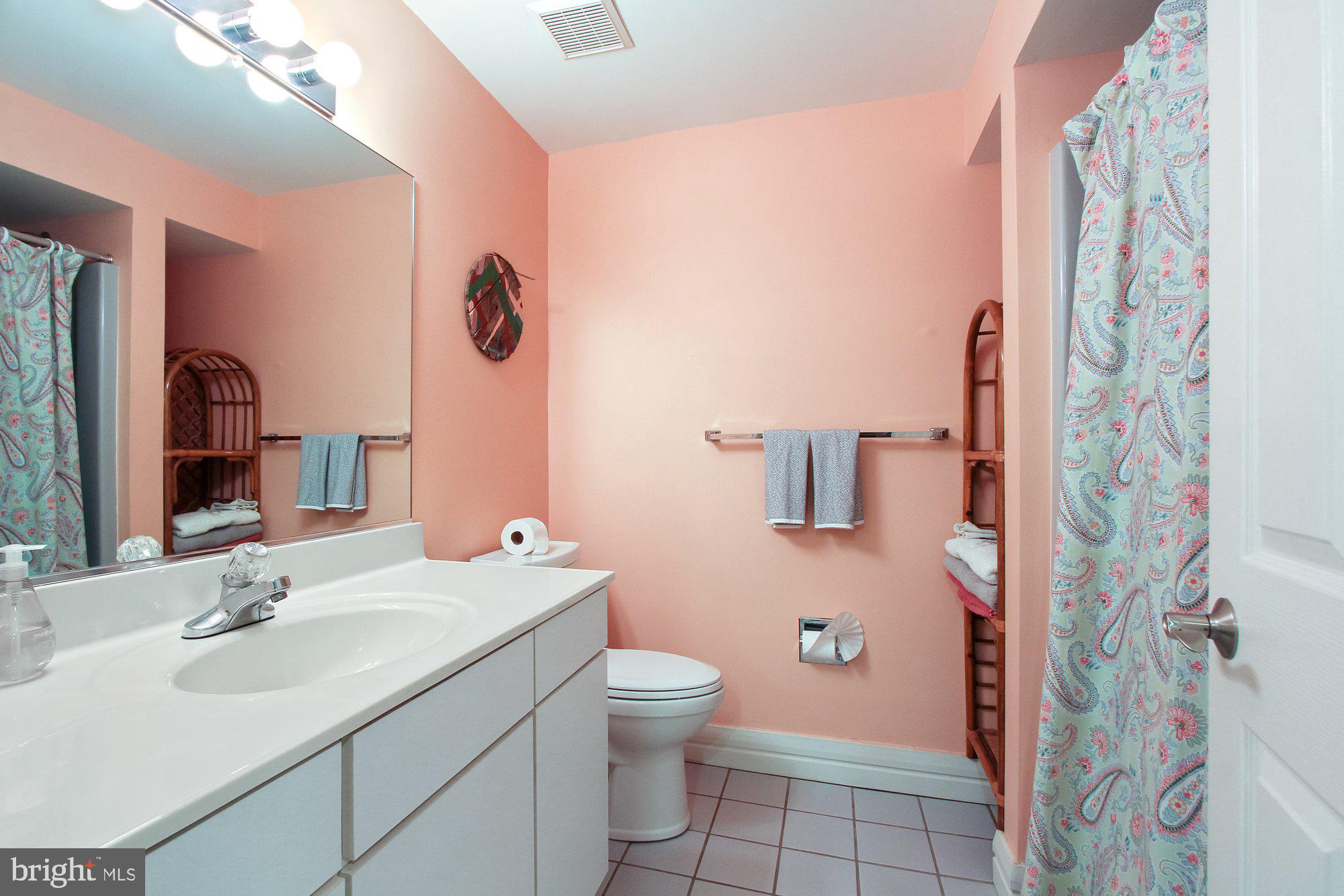 14815 Manor Road Monkton, MD 21111 - Photo 83 of 87 Lower Level Full Bath w/ Tub & Shower