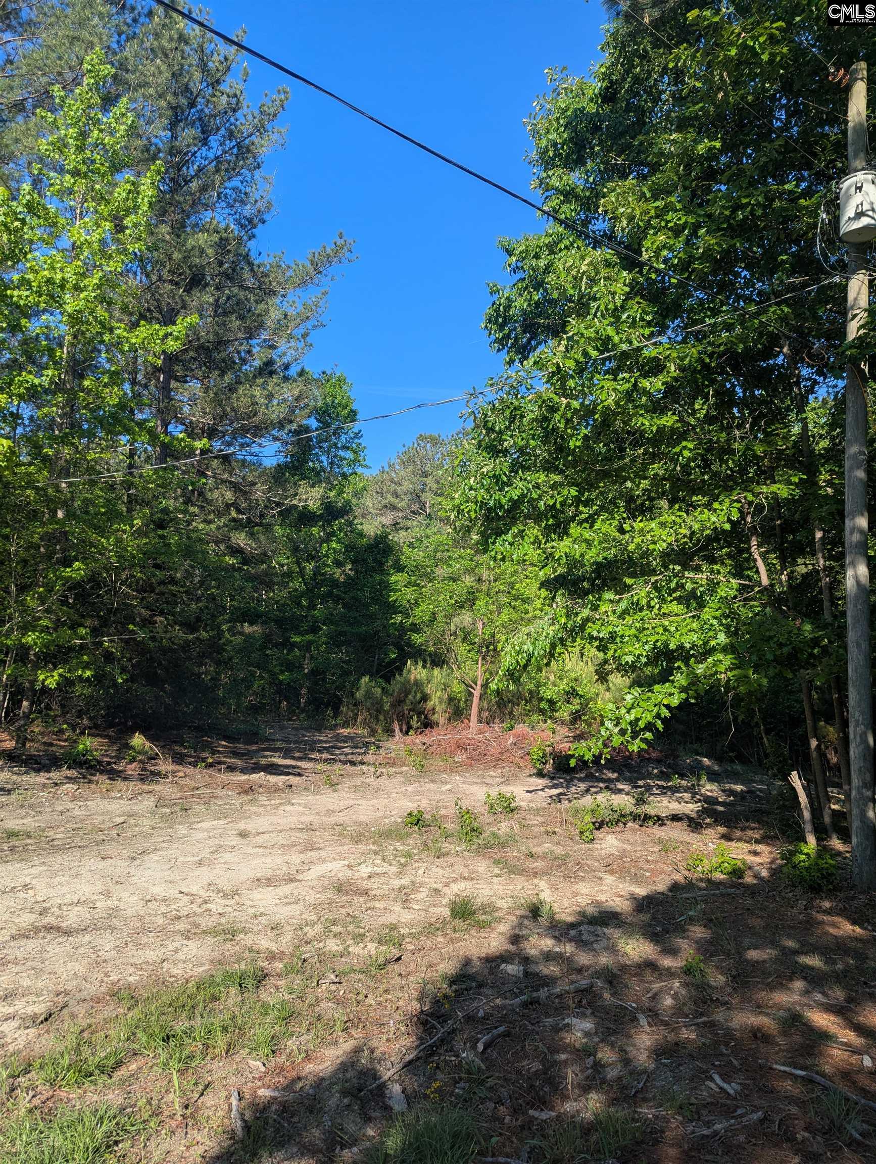 1089 Chestnut Hill Road Elgin, SC 29045 - Photo 12 of 17