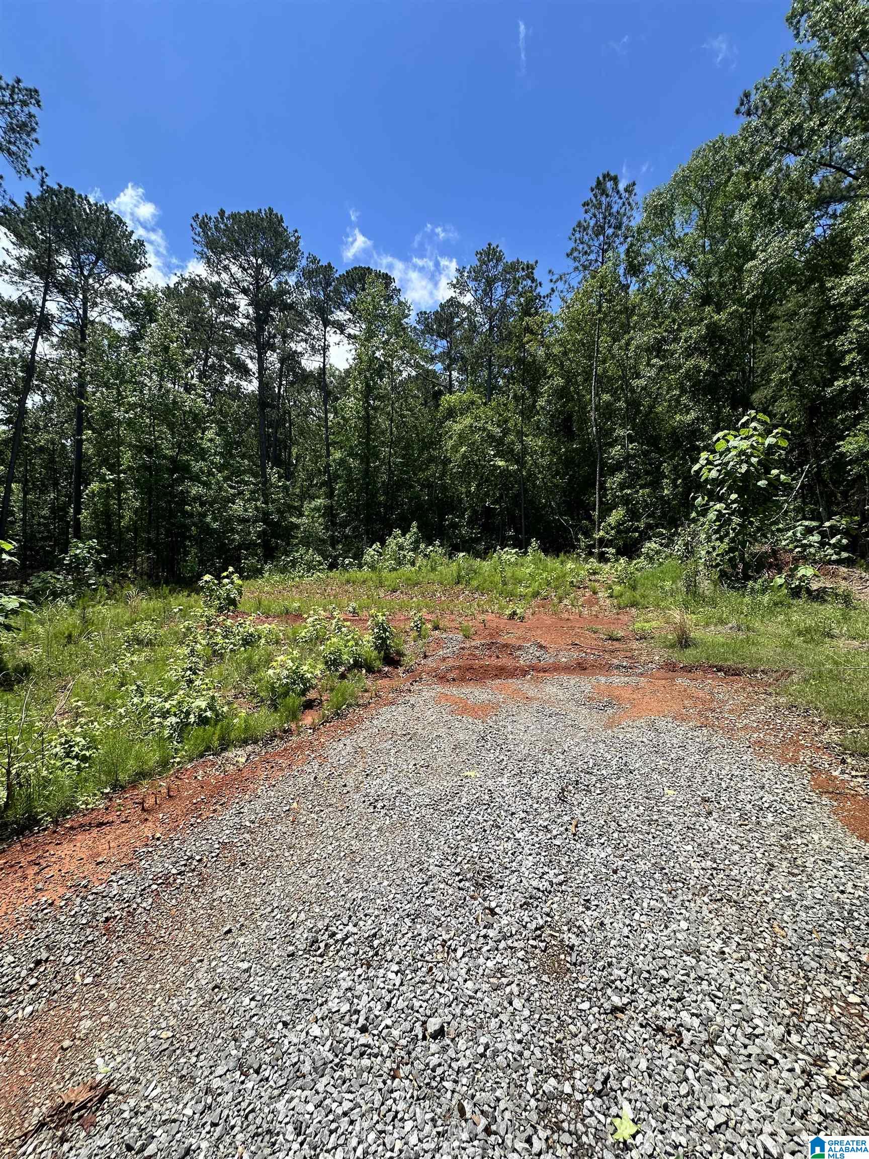 350 Black Acres Road, Unit 11 Cropwell, AL 35054 - Photo 5 of 16