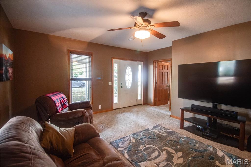 911 Sumner Street Jerseyville, IL 62052 - Photo 6 of 43