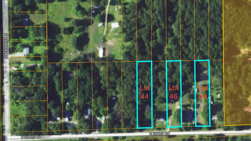 a view of a yard with a palm tree