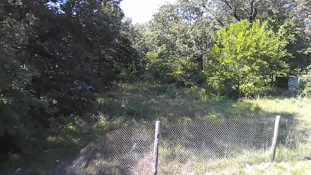 Lot 44 East 2000th Road South Pembroke Township, IL 60958 - Photo 2 of 4 a backyard of a house with lots of green space