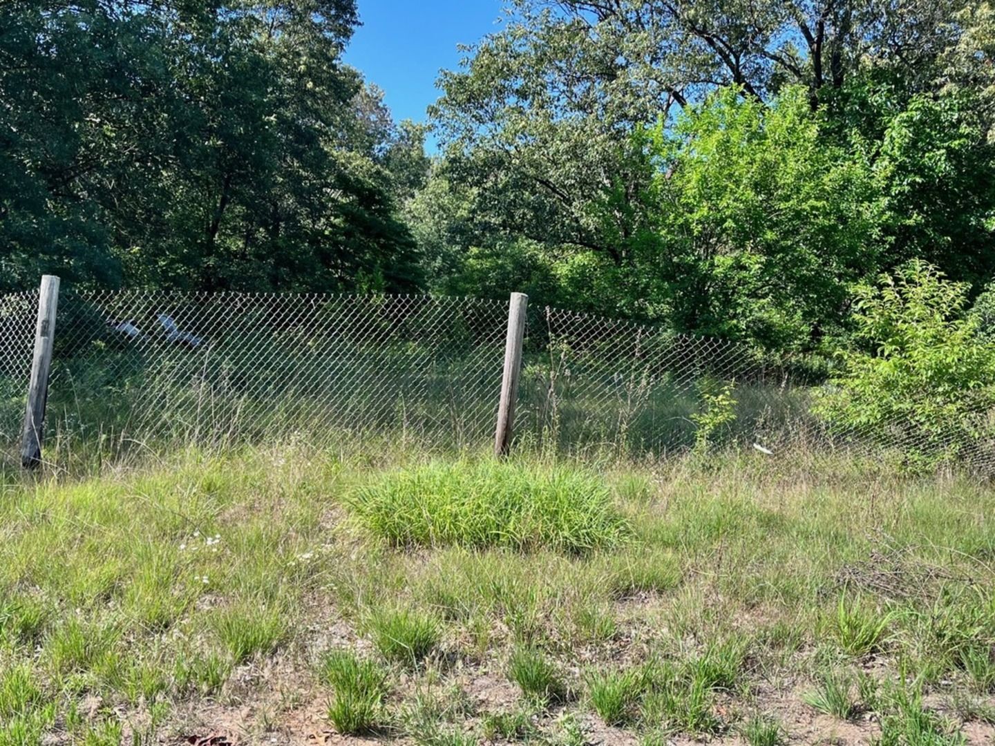 Lot 44 East 2000th Road South Pembroke Township, IL 60958 - Photo 3 of 4 a backyard of a house with lots of green space and lake view