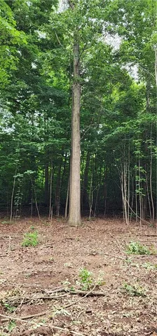 $375,000 | 4476 Harvey Road, Potter, NY 14544